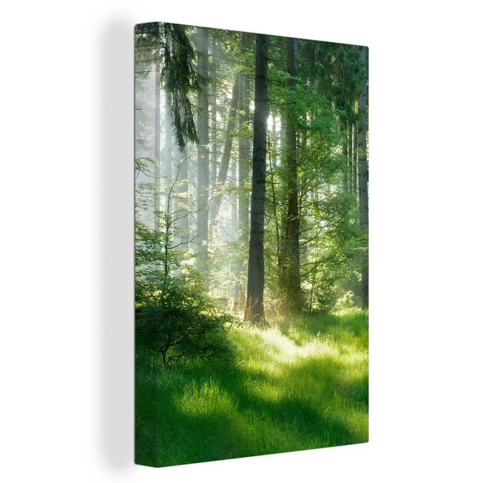 OneMillionCanvasses® Leinwandbild Natur - Bäume - Wald - Grün - Sonne - Gras - Pflanzen (1 St) Bild auf Leinwand Wandbild Leinwandbilder Wanddekoration Kunstdruck