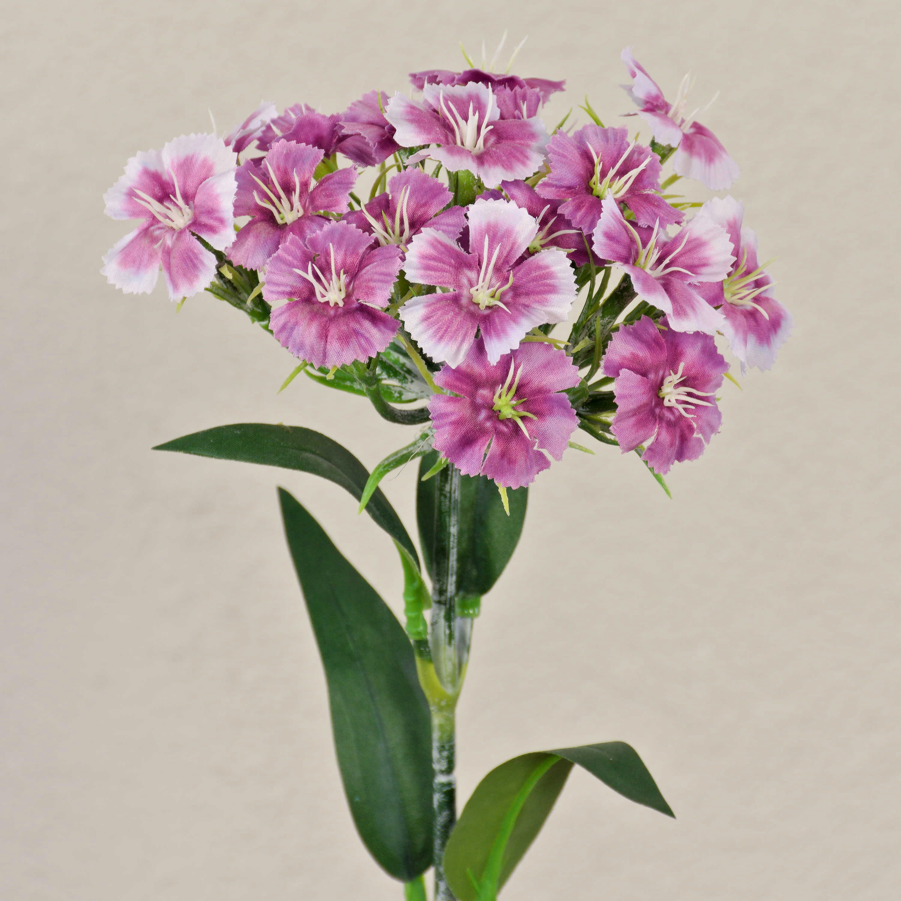 Kunstblume Künstliche Blume Bartnelke SUSILAWA, violett-weiß, 55cm Nelke (Bartnelke), artplants, Höhe 55.0 cm