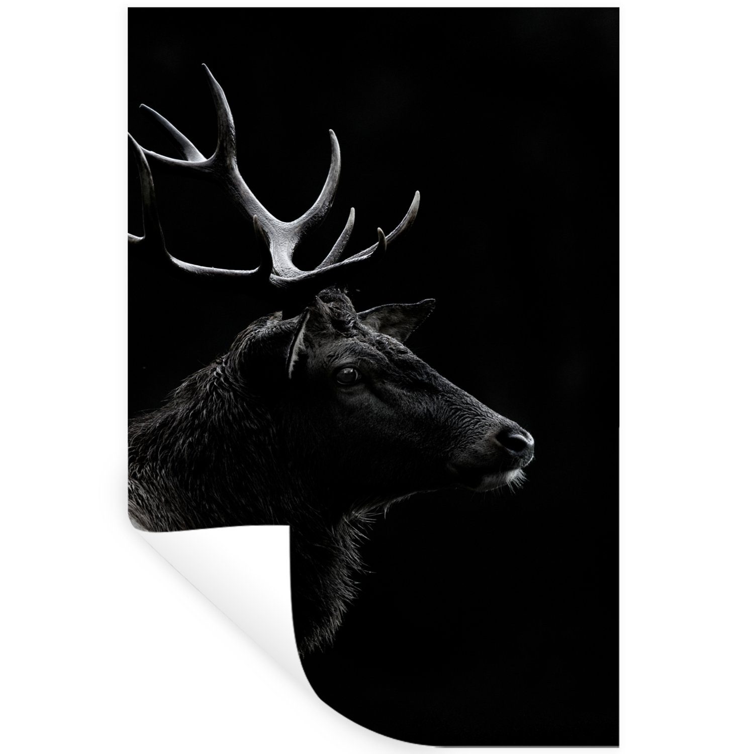 MuchoWow Wandsticker Hirsch - Schwarz - Porträt - Geweih - Tiere (1 St), Wandaufkleber, Selbstklebend, Wohnzimmer, 20x30 cm