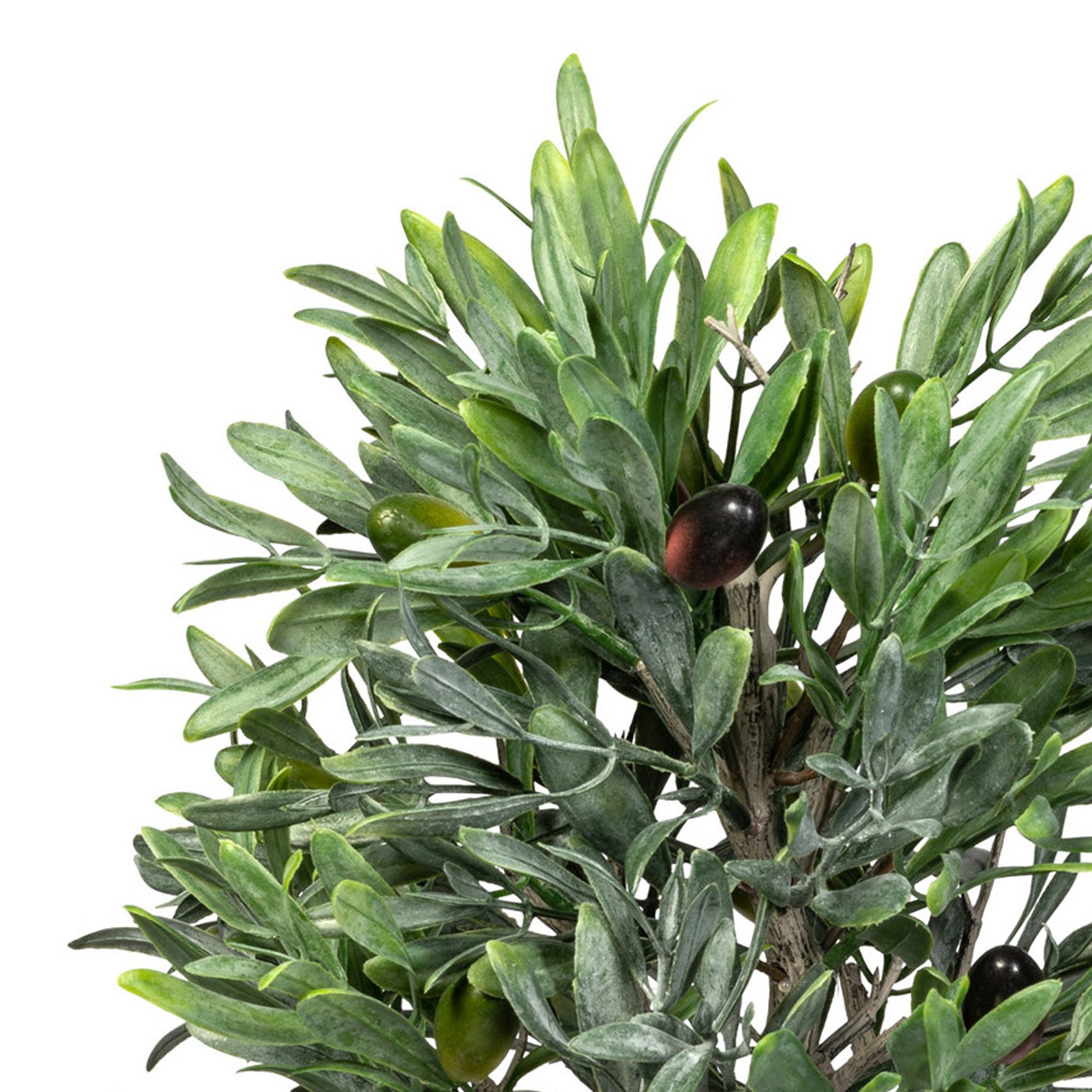 Kunstpflanze Olive, Creativ green, Höhe 70 cm, mit detailgetreuer Gestaltun günstig online kaufen