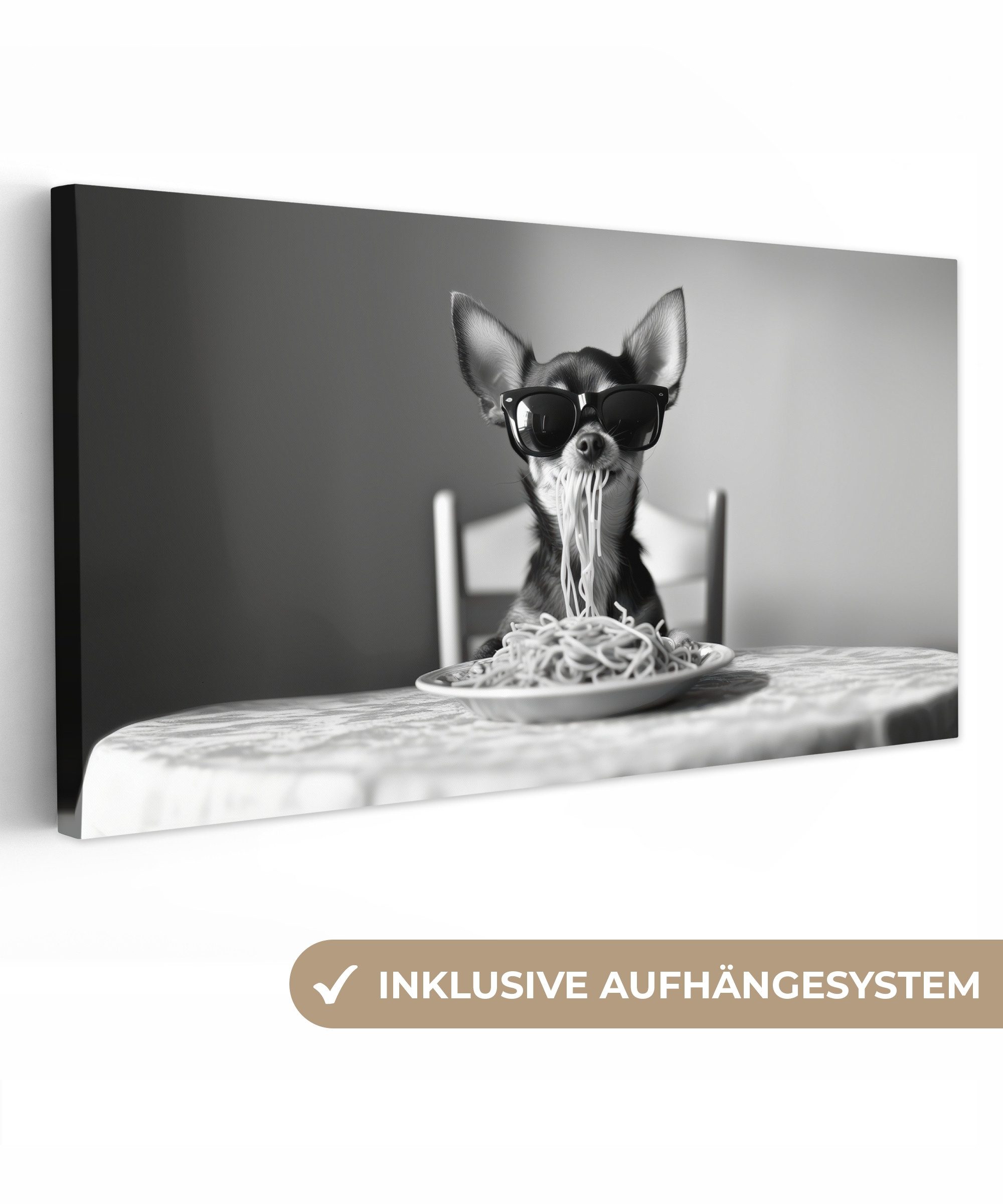 OneMillionCanvasses® Leinwandbild Panorama Chihuahua - Hund günstig online kaufen