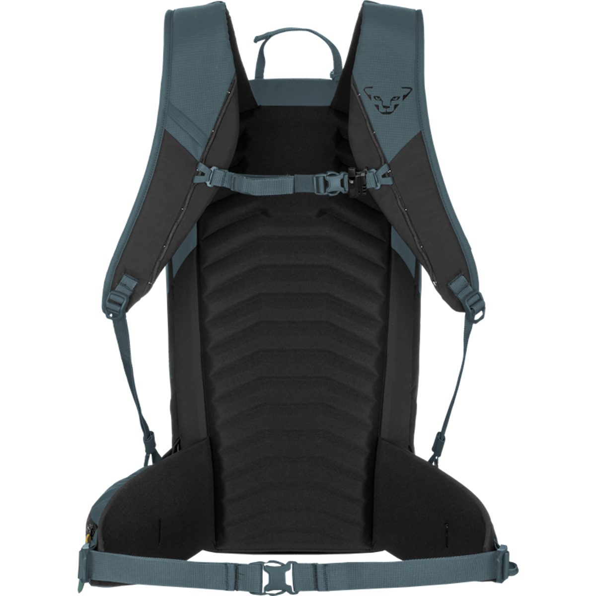 Dynafit Rucksack Ridge 26 Rucksack, Skitouren-Rucksack, Unisex - Dynafit