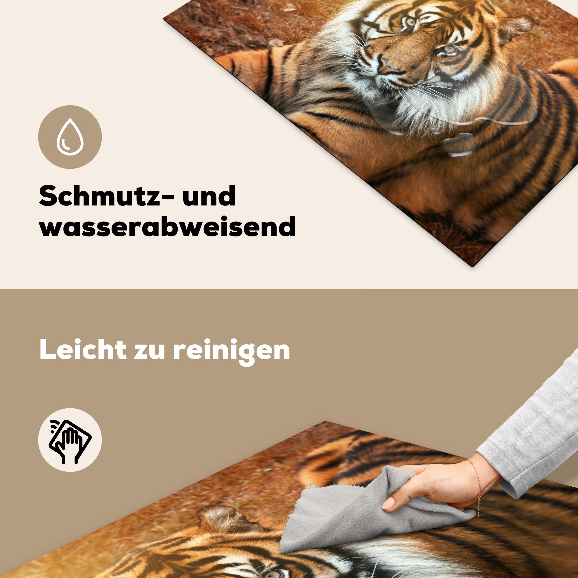 Ceranfeldabdeckung küche, (1 Herdblende-/Abdeckplatte Porträt die Tiger Schutz 81x52 Vinyl, tlg), - Sonne, MuchoWow cm, Induktionskochfeld für -