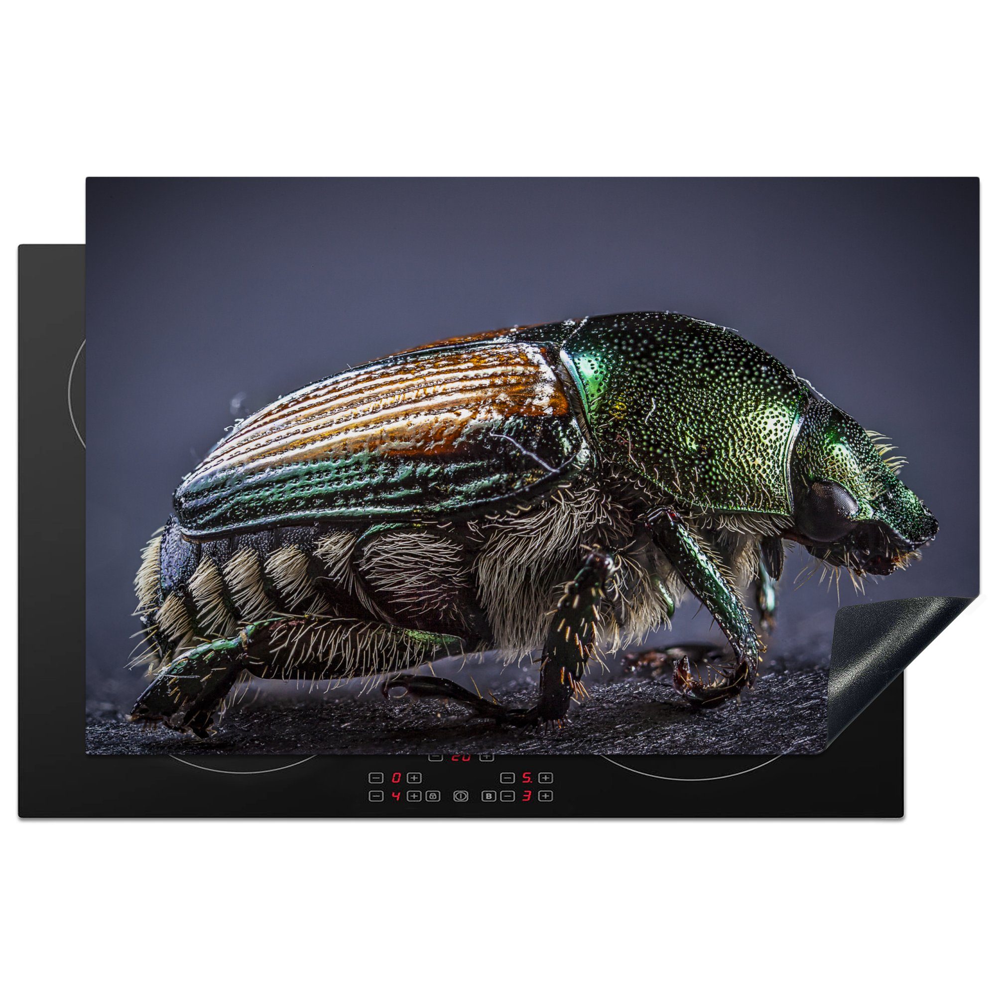 MuchoWow Herdblende-/Abdeckplatte Käfer - Insekten - Tiere, Vinyl, (1 tlg), 81x52 cm, Induktionskochfeld Schutz für die küche, Ceranfeldabdeckung