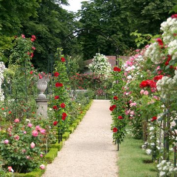 relaxdays Rosenbogen Schwarzer Rosenbogen aus Metall