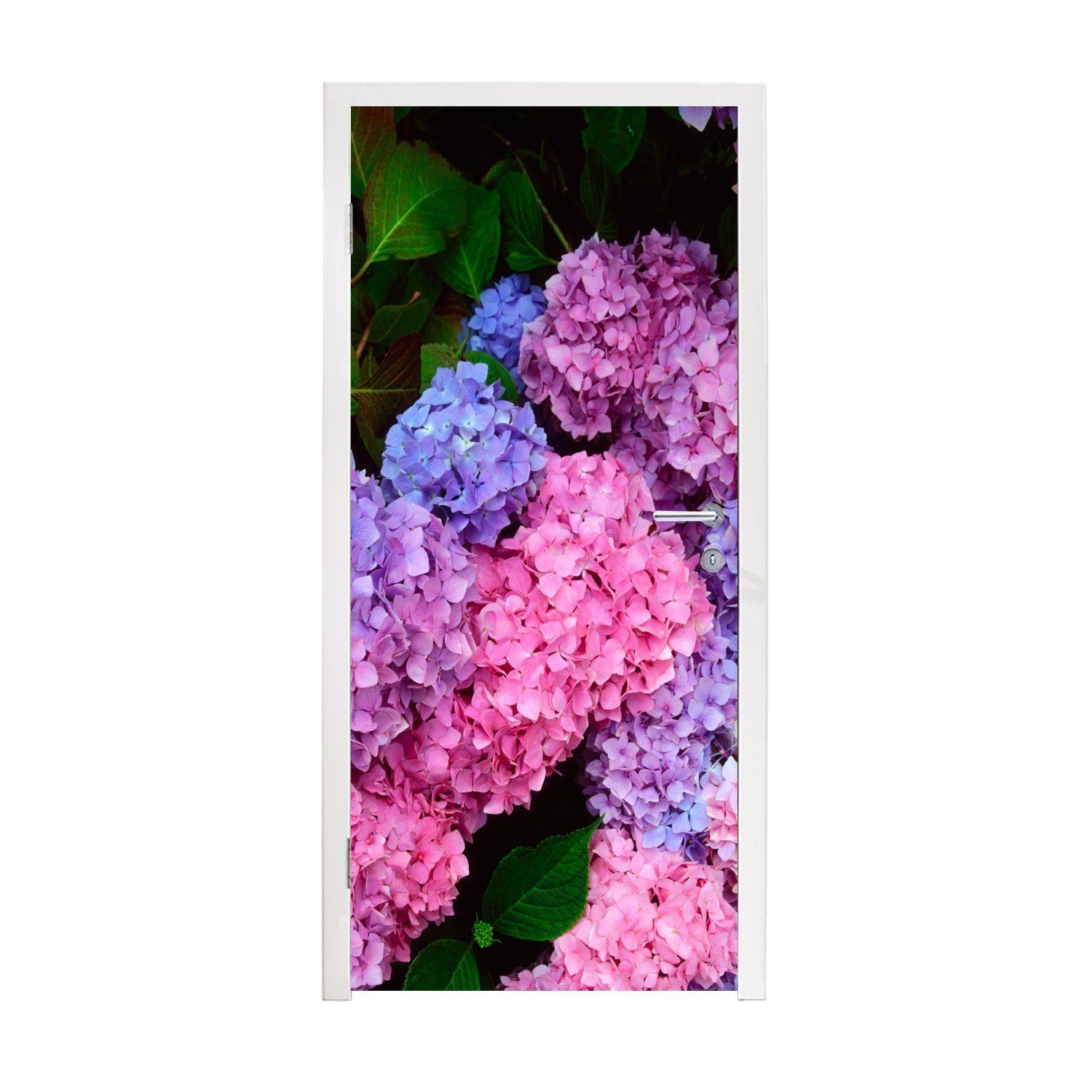 MuchoWow Türtapete Rosa und blaue (1 für Matt, Hortensie, cm Tür, bedruckt, 75x205 Türaufkleber, Fototapete St)