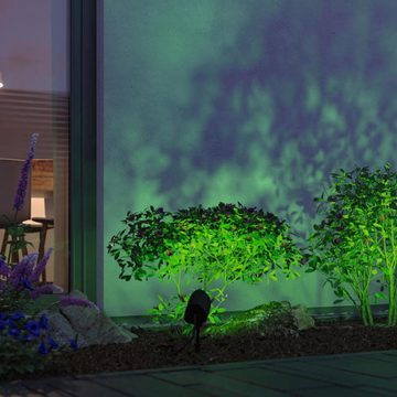 Paulmann LED Gartenstrahler Smarter Zigbee 3.0 Plug & Shine LED Erdspießstrahler Shira RGBW in, keine Angabe, Leuchtmittel enthalten: Ja, fest verbaut, LED, warmweiss, Außenstrahler