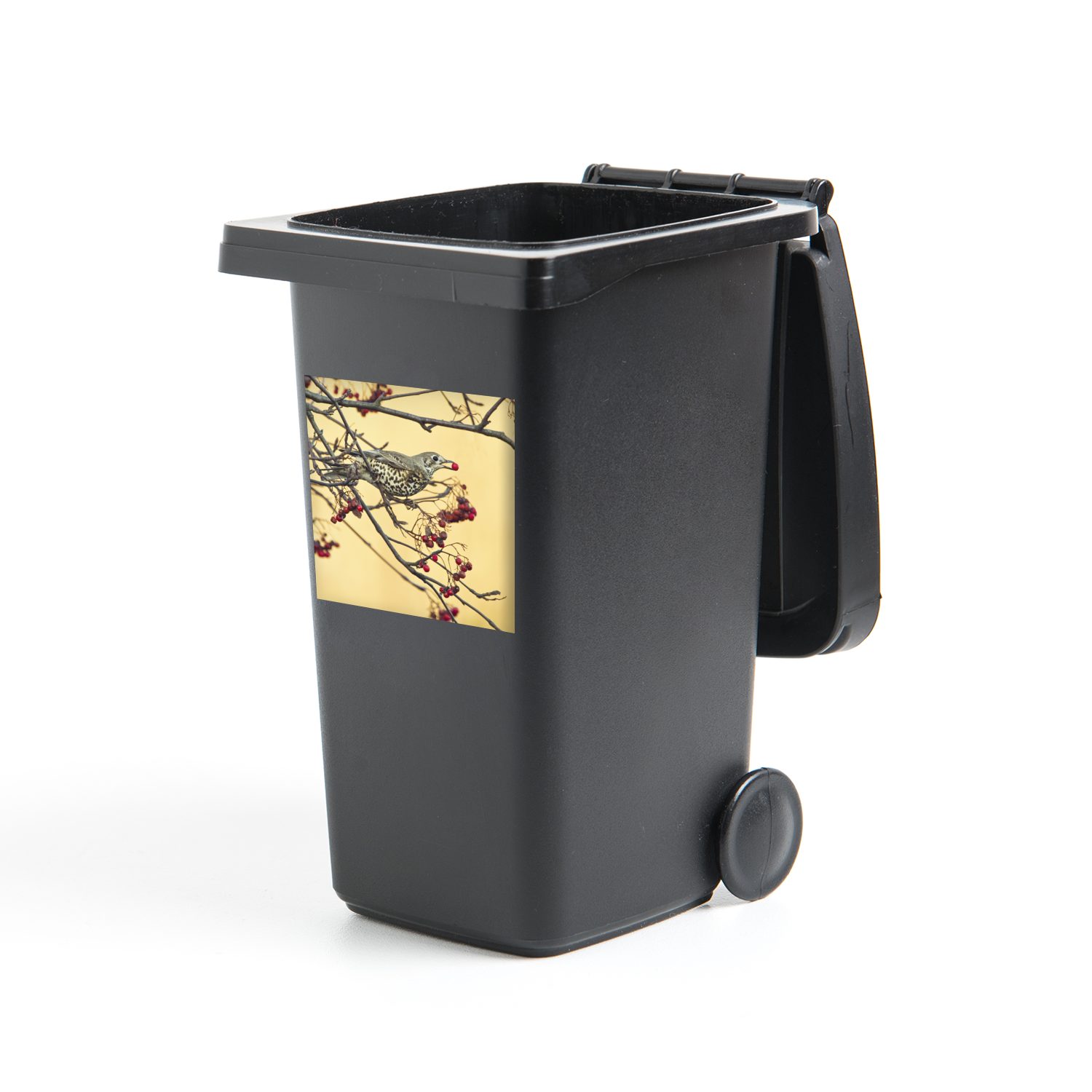 MuchoWow Wandsticker Schönes Bild einer Drossel, die eine Beere isst (1 St), Mülleimer-aufkleber, Mülltonne, Sticker, Container, Abfalbehälter