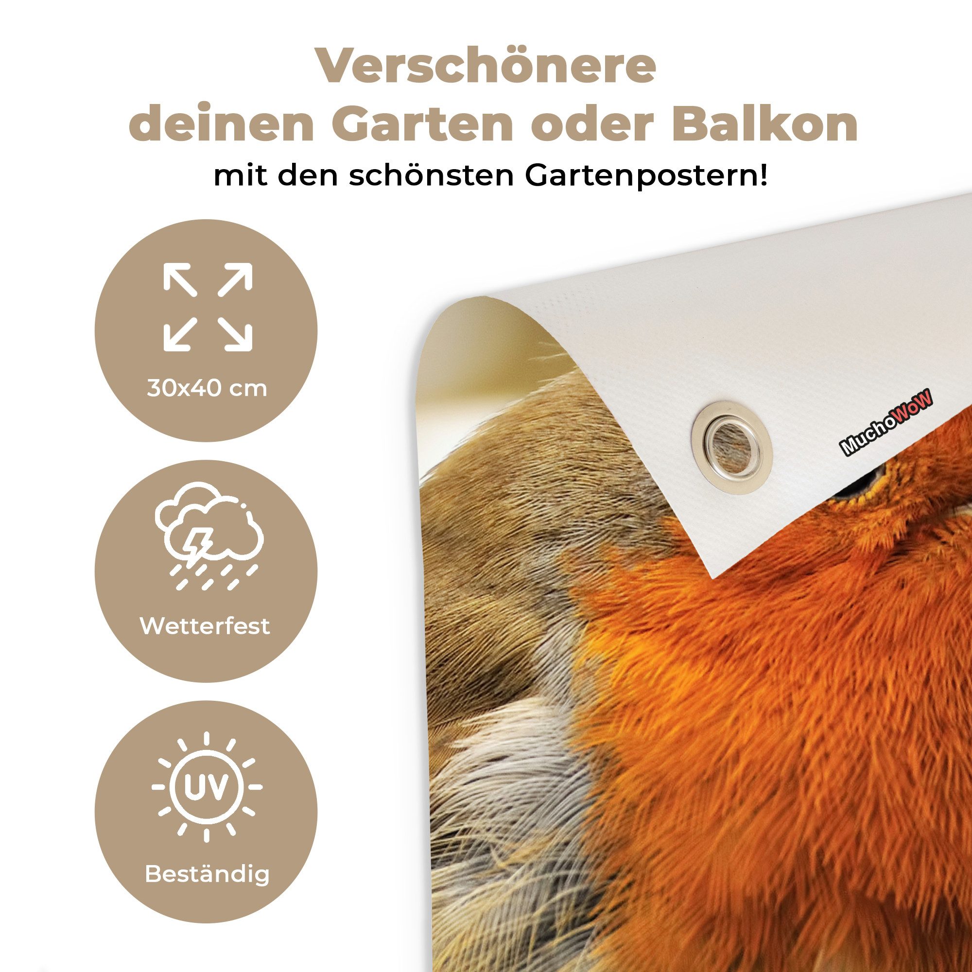 OnlyWow Poster für Garten Vogel - Rotkehlchen - Porträt, Gartenposter, Outdoor Bilder, Gartendeko für draußen, 30x40 cm