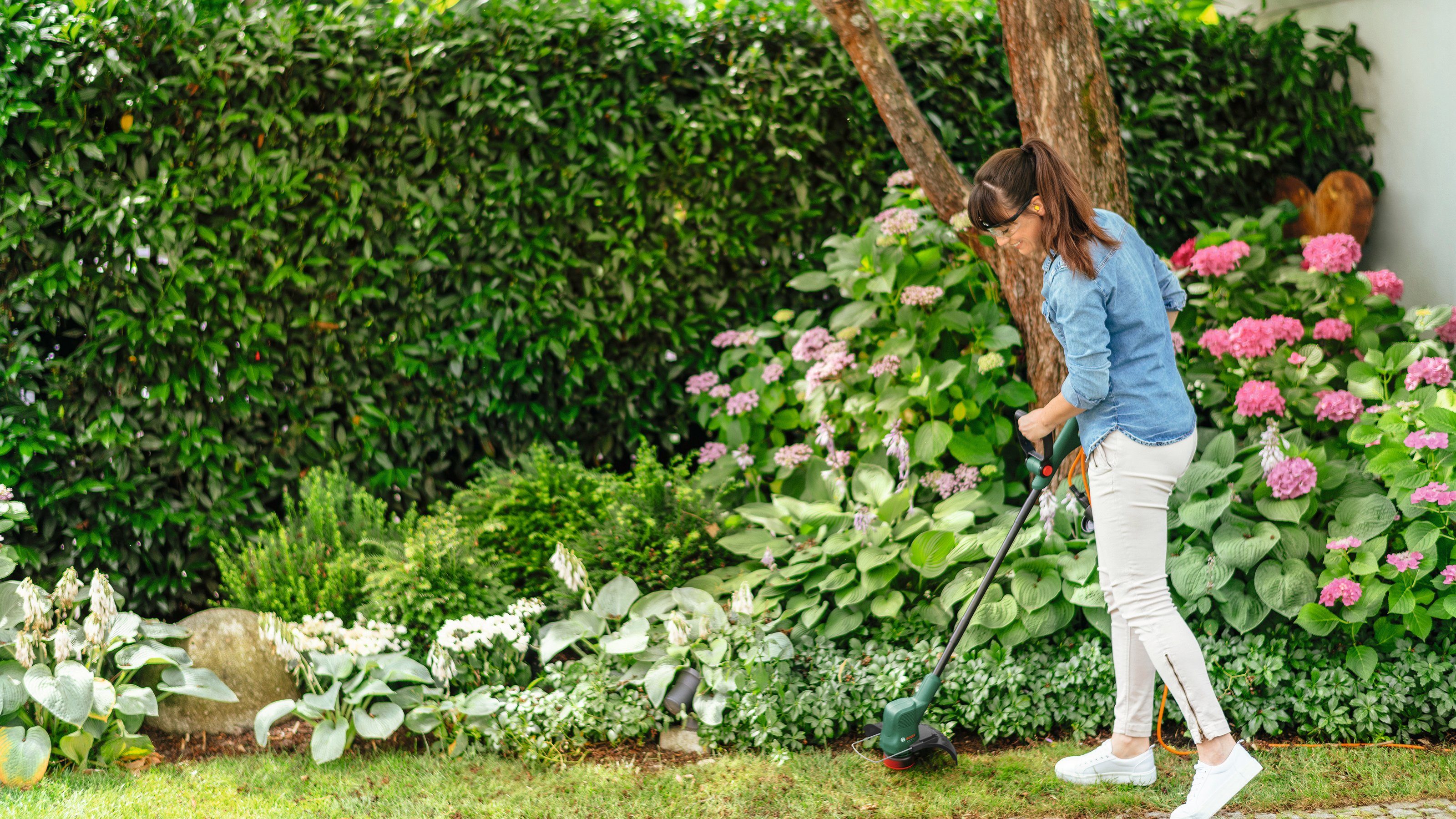 Bosch Home & Garden Elektro-Rasentrimmer EasyGrassCut günstig online kaufen