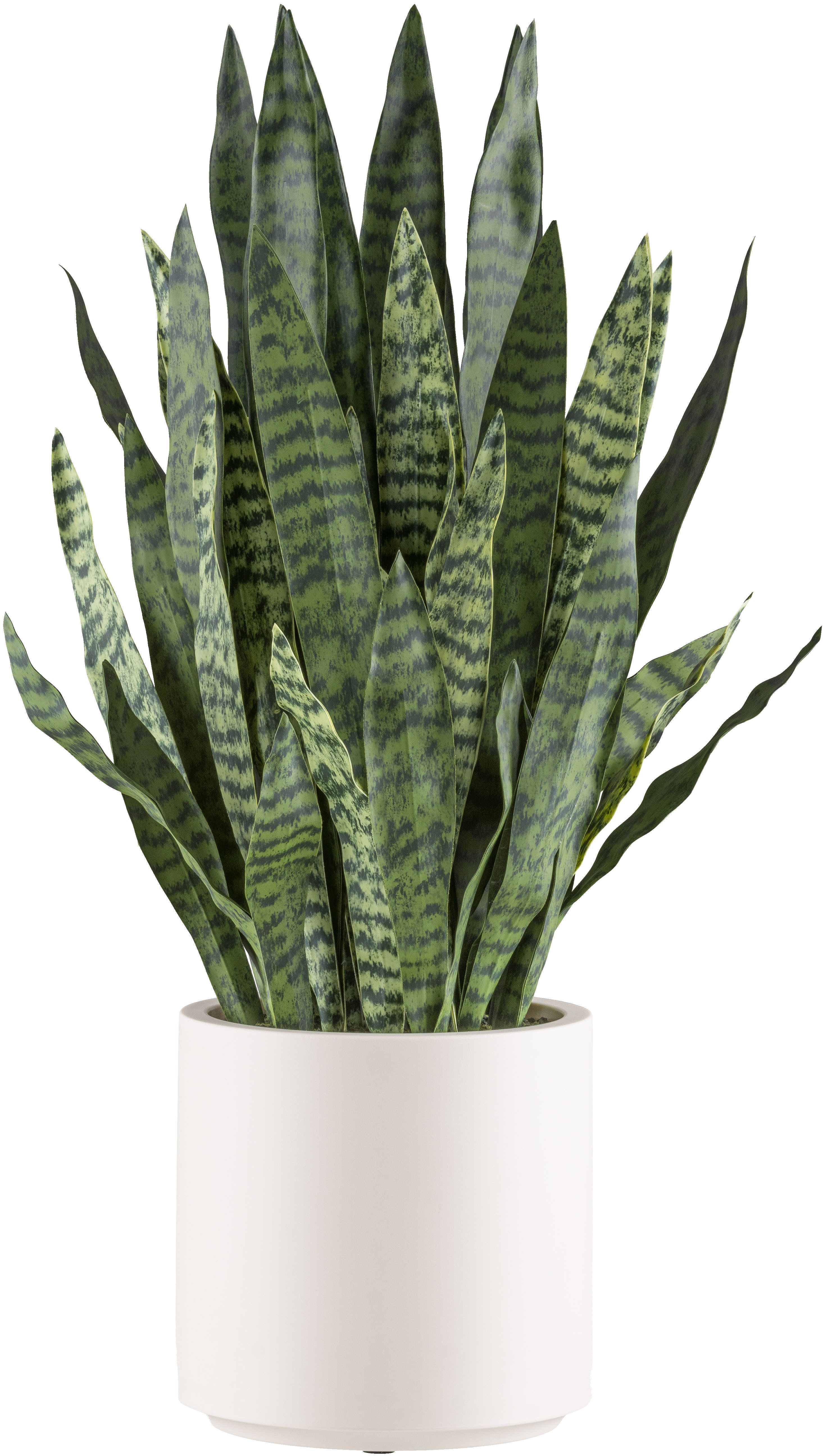 Kunstpflanze Sanseveria zeylanica