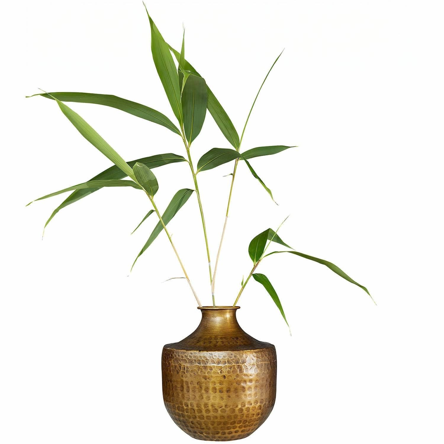Tischvase Vase Saamira antikmessing