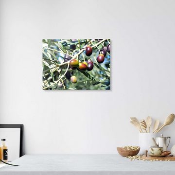 Posterlounge Acrylglasbild Editors Choice, Olivenbaum im Sonnenlicht, Küche Mediterran Fotografie