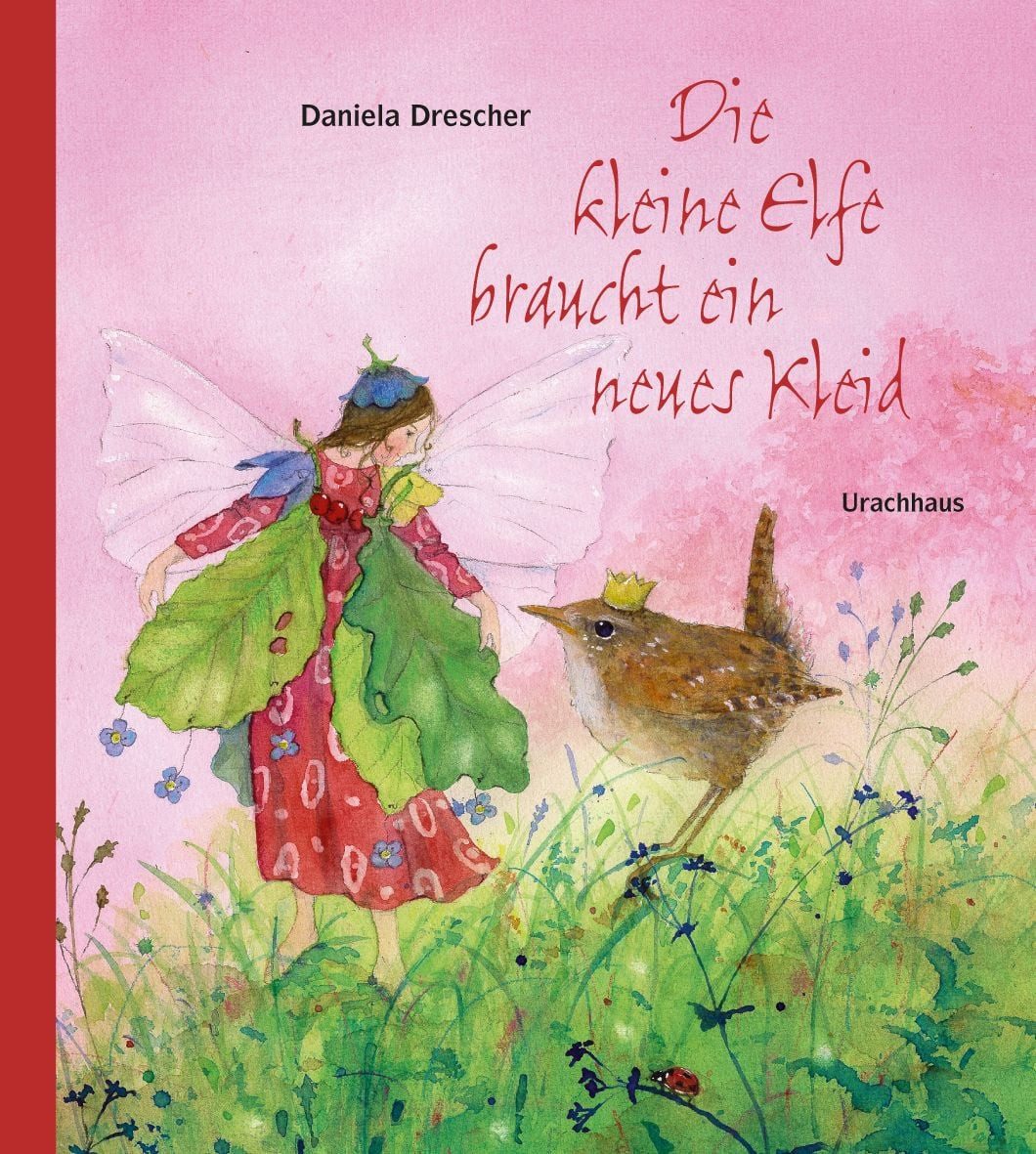 Kinderbuch Die kleine Elfe braucht ein neues Kleid Daniela Drescher