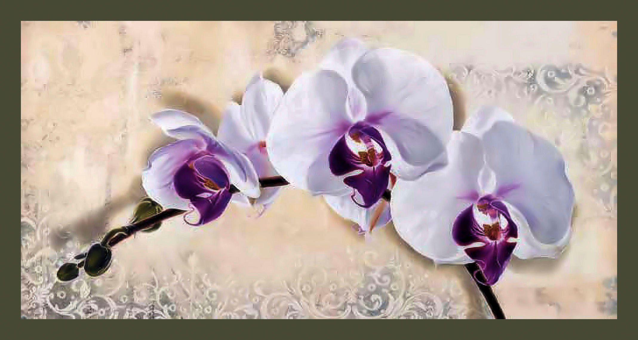 Home affaire Bild mit Rahmen »ELENA DOLCI / Royal Orchid«, (1 Stück)-Otto
