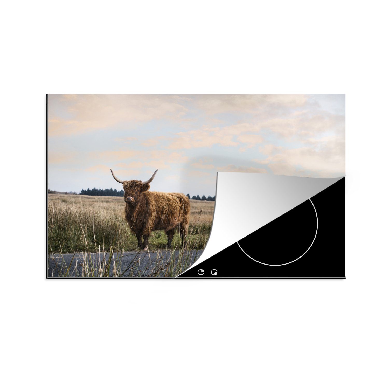 MuchoWow Herdblende-/Abdeckplatte Schottischer Highlander - Kuh - Herbst, Vinyl, (1 tlg), 81x52 cm, Induktionskochfeld Schutz für die küche, Ceranfeldabdeckung