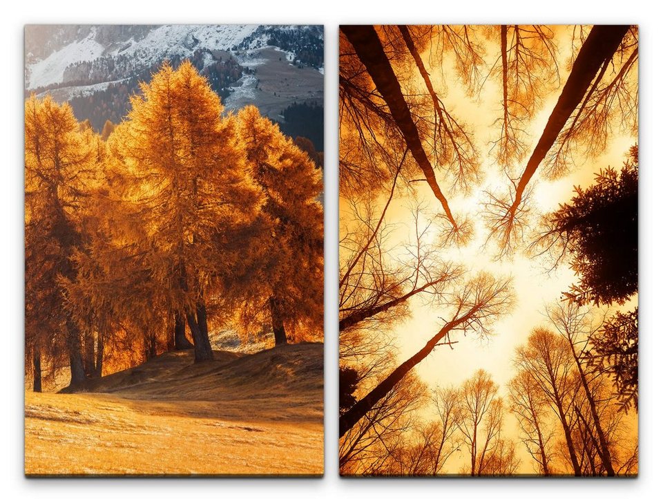 Sinus Art Leinwandbild »2 Bilder je 60x90cm Wald Sinus Art Leinwandbild »2 Bilder je 60x90cm Wald