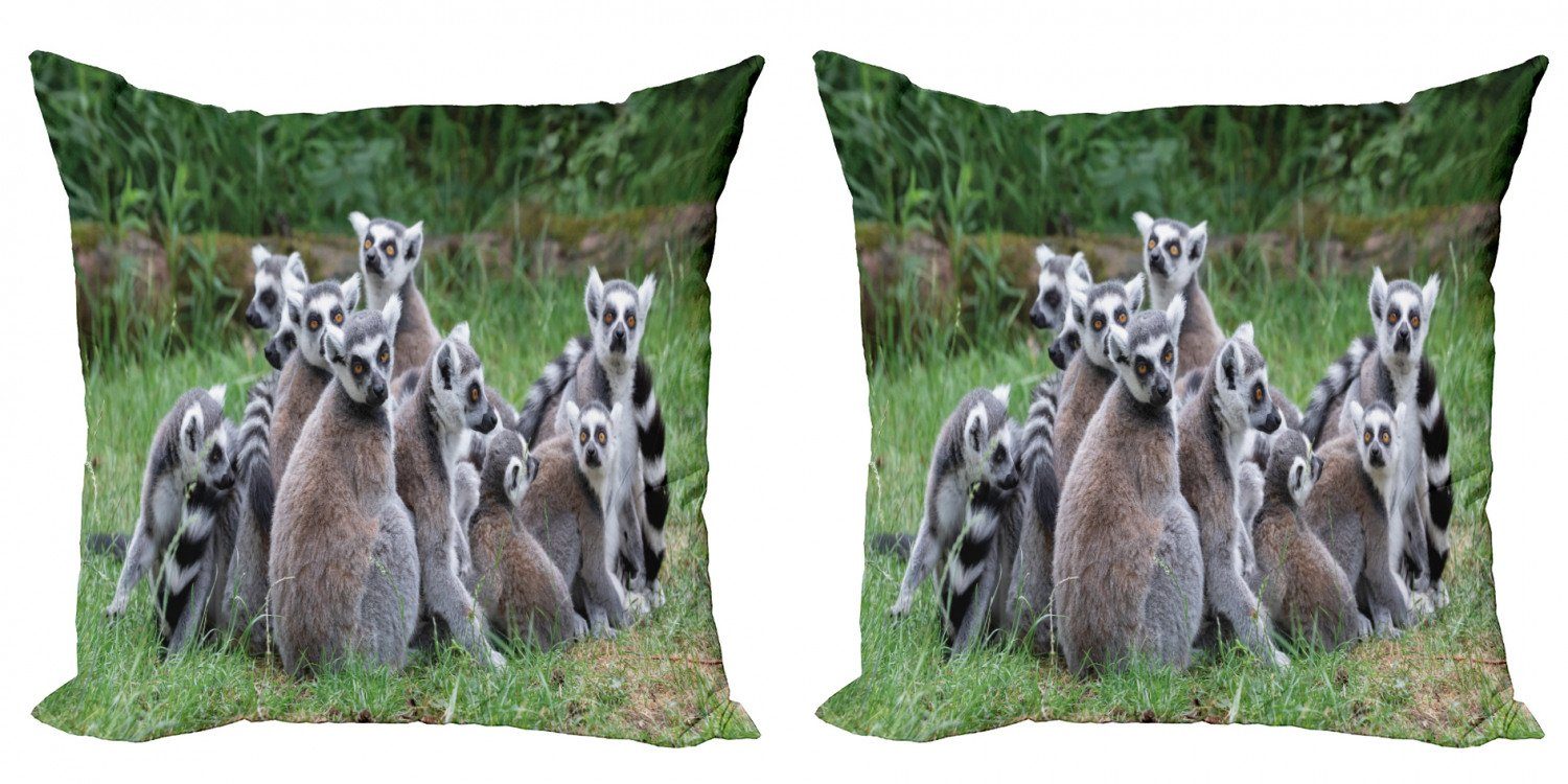Accent Lemur (2 Kissenbezüge Ring angebundene Modern Abakuhaus Stück), Doppelseitiger Digitaldruck, Affe Madagaskar