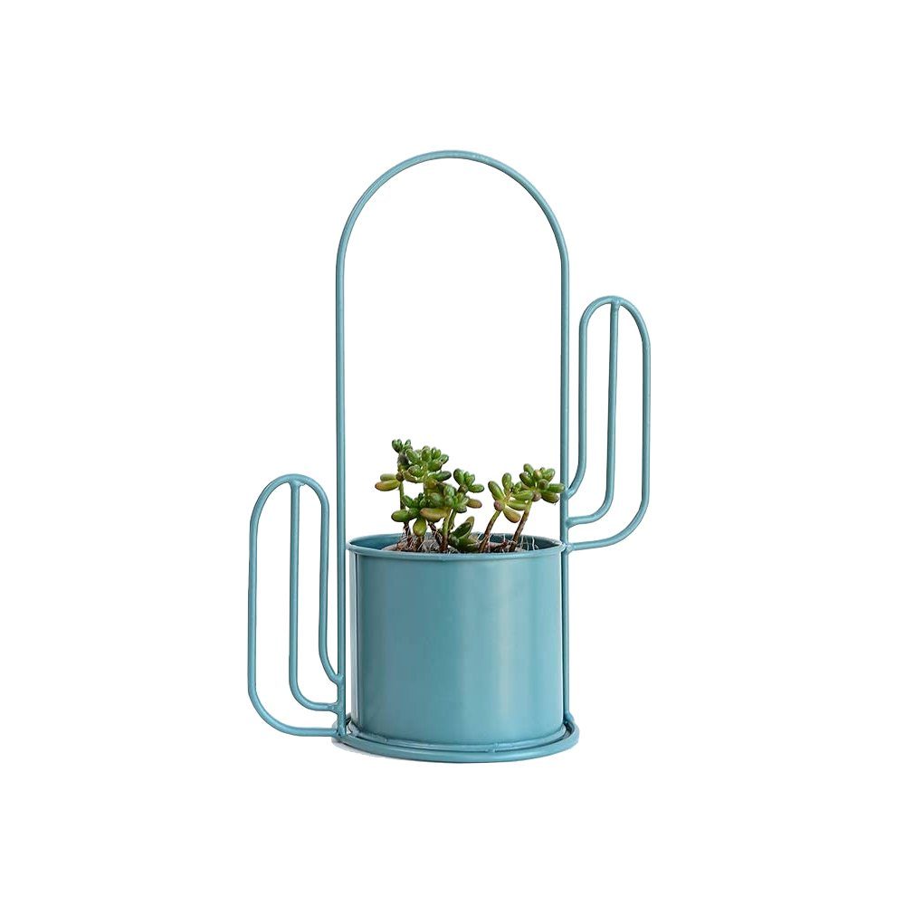 U.Uberlux Blumentopf Blumentopf Kaktus Metalleimer Metall günstig online kaufen
