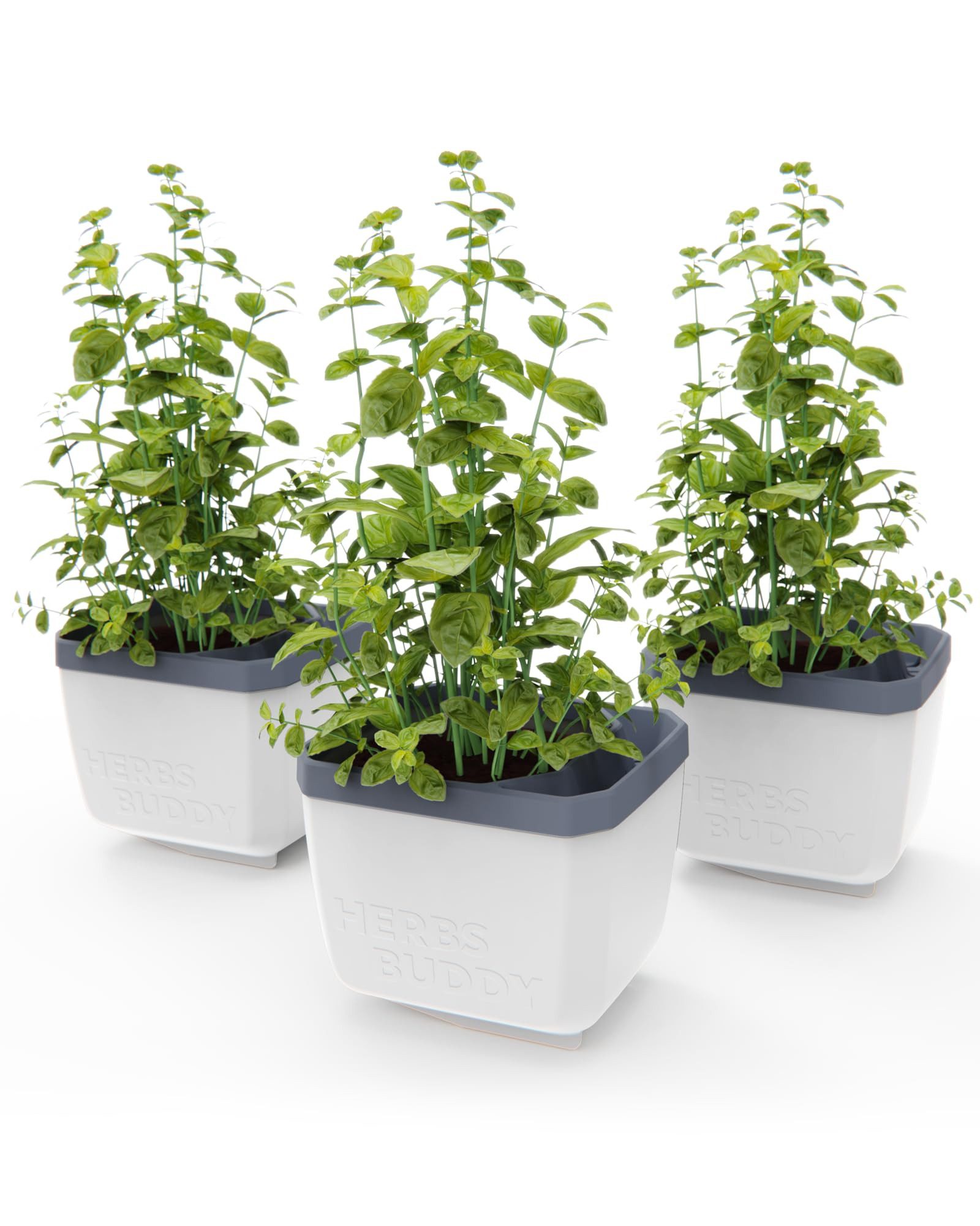 Gusta Garden Kräutertopf KRÄUTERFREUND (3er Set, günstig online kaufen