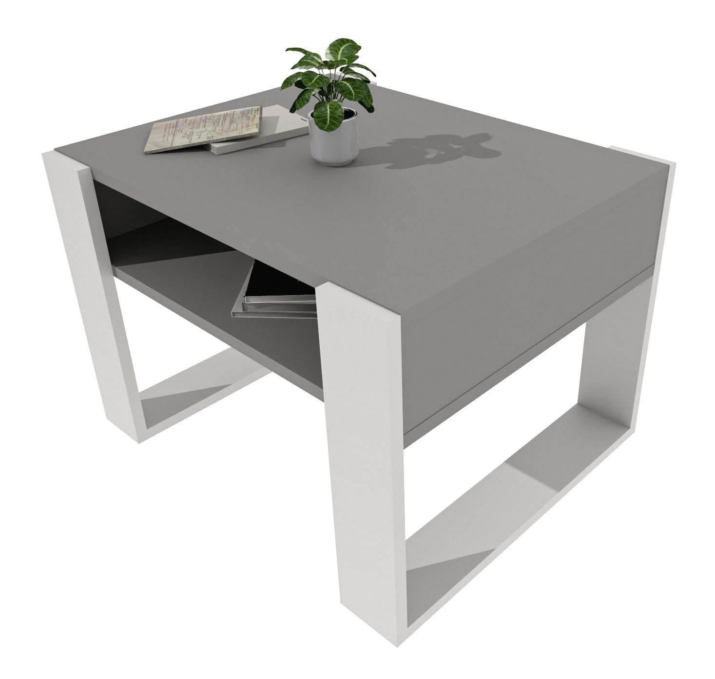 TREND WERK Couchtisch mit zusätzlicher Ablagefläche (65×53,6×45 cm - Wohnzimmertisch, Loft-Design, Ablagefach)