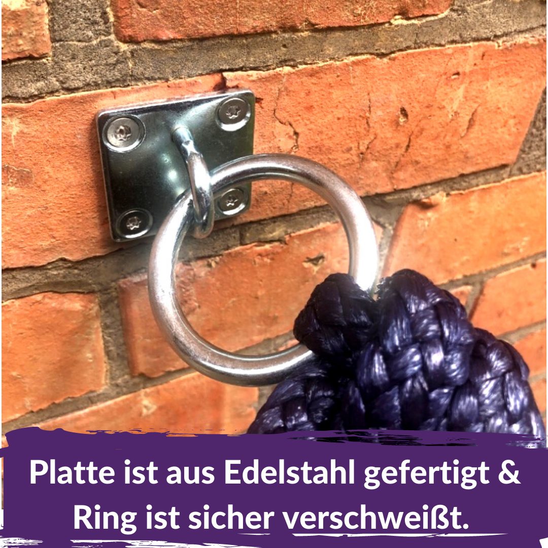 Pferdelinis Anbindestrick Anbindering Pferd Bestigungshaken Augplatte Edelstahl massiv