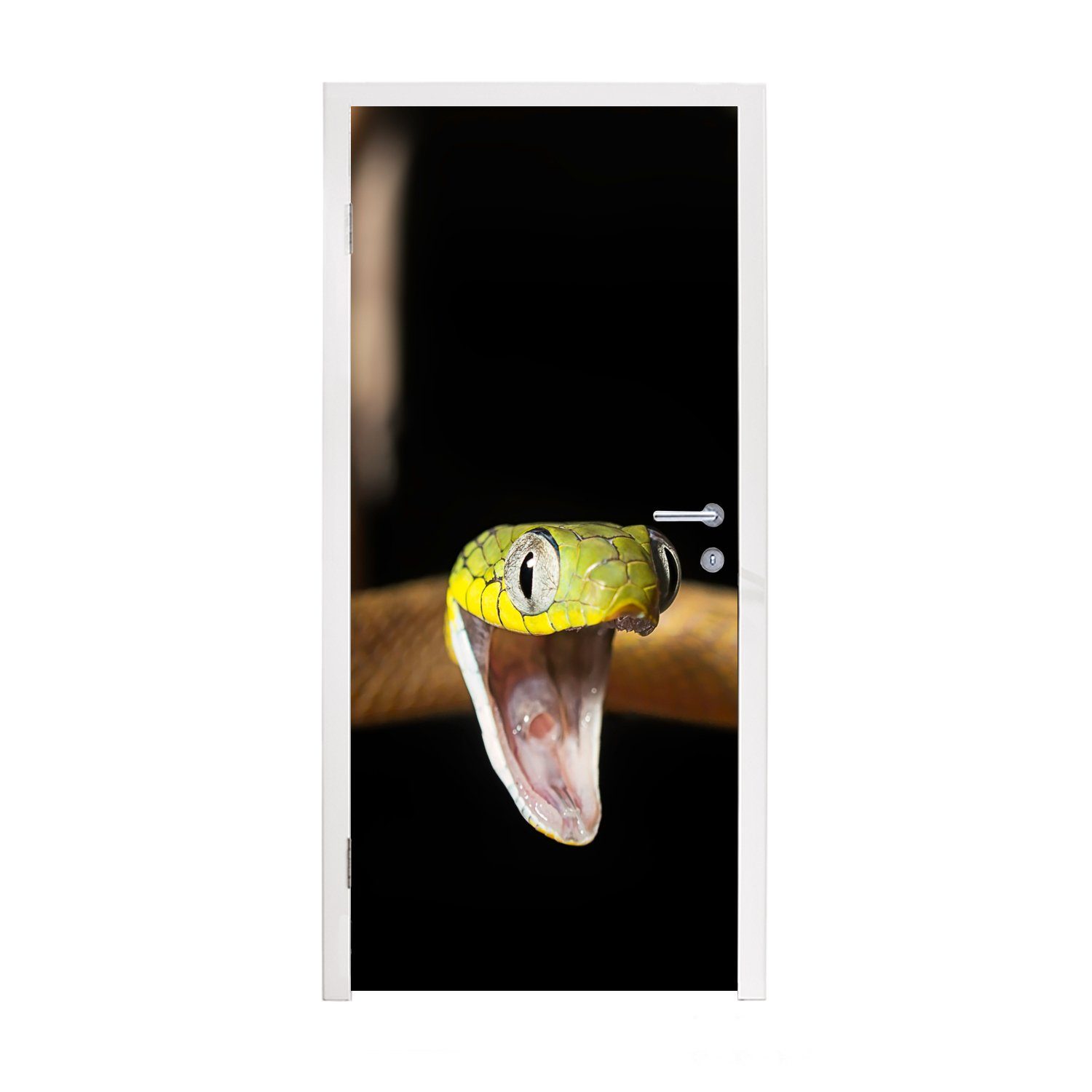 MuchoWow Türtapete Schlange - Tier Türaufkleber, St), bedruckt, (1 für Schwarz, - 75x205 Fototapete Tür, cm Matt