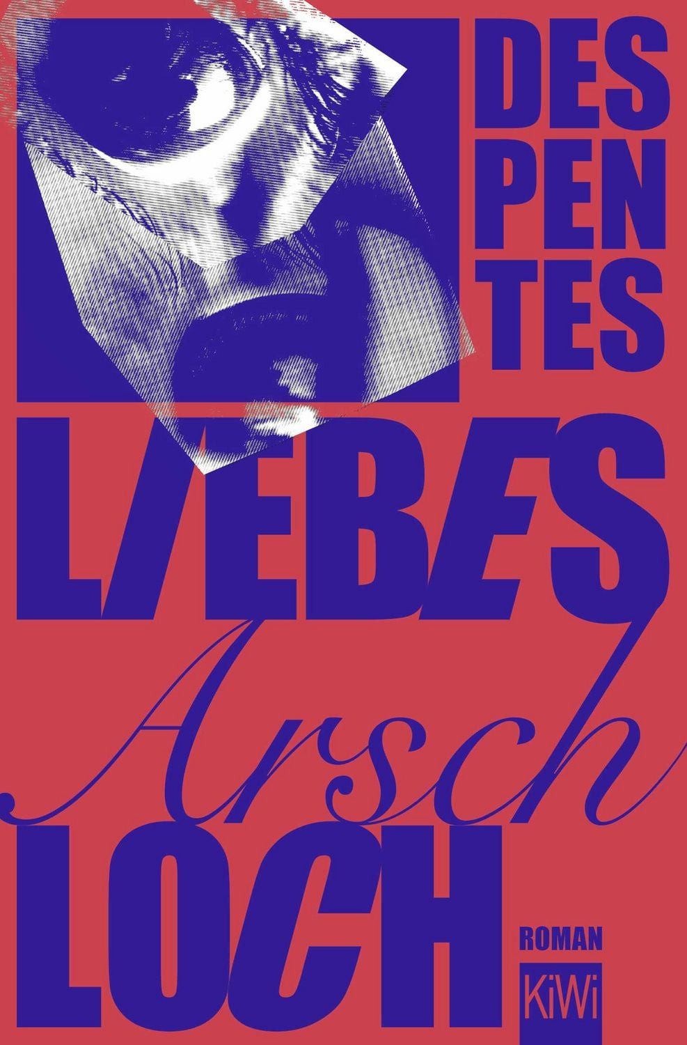 Liebes Arschloch / Virginie Despentes