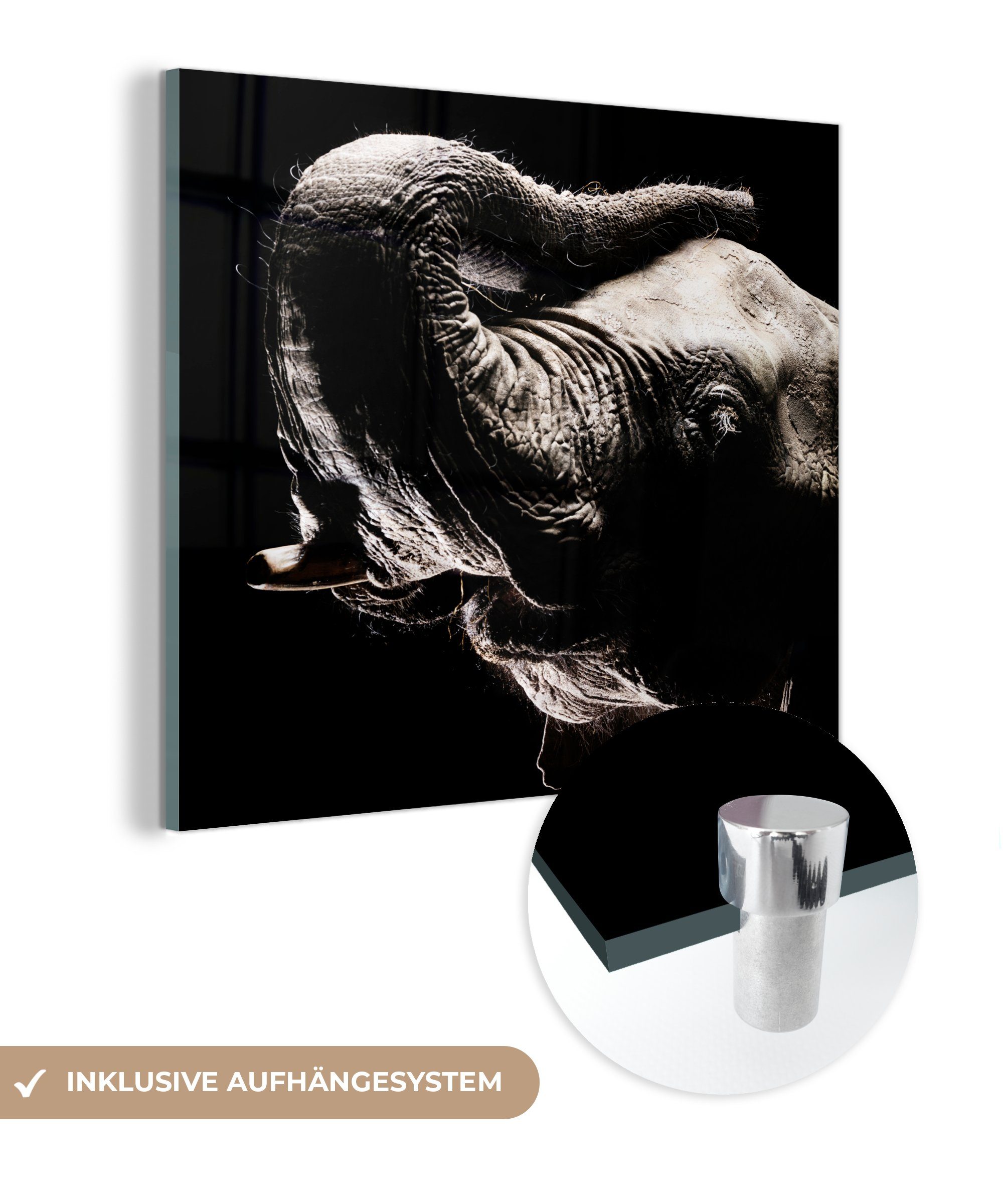 Acrylglasbild - Glas Glas Elefant - - - St), Wanddekoration - auf Porträt, MuchoWow Foto (1 Schwarz Bilder Wandbild Tiere Glasbilder - auf