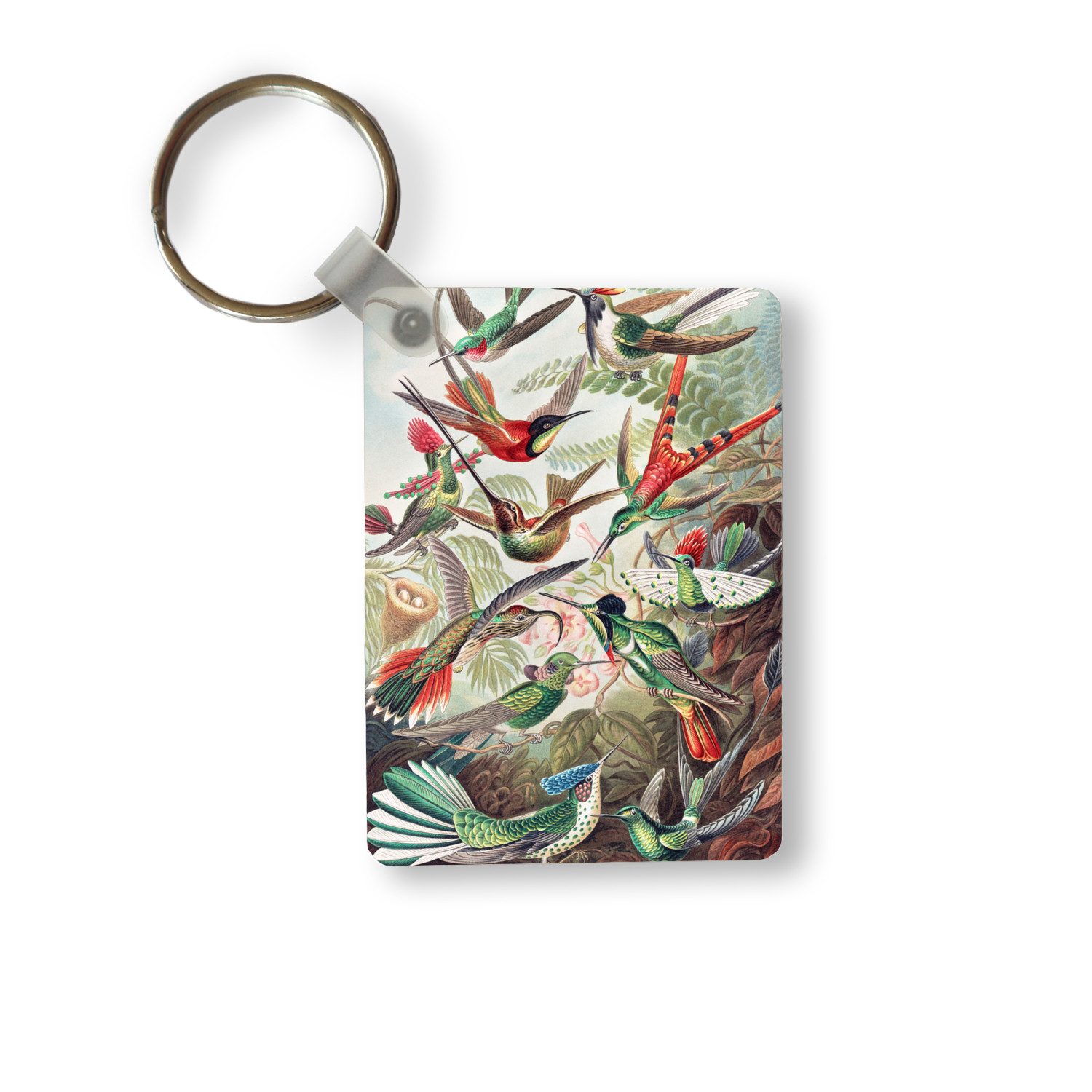 Schlüsselanhänger Kolibri - Vintage - Ernst Haeckel - Vogel - Kunst - Natur