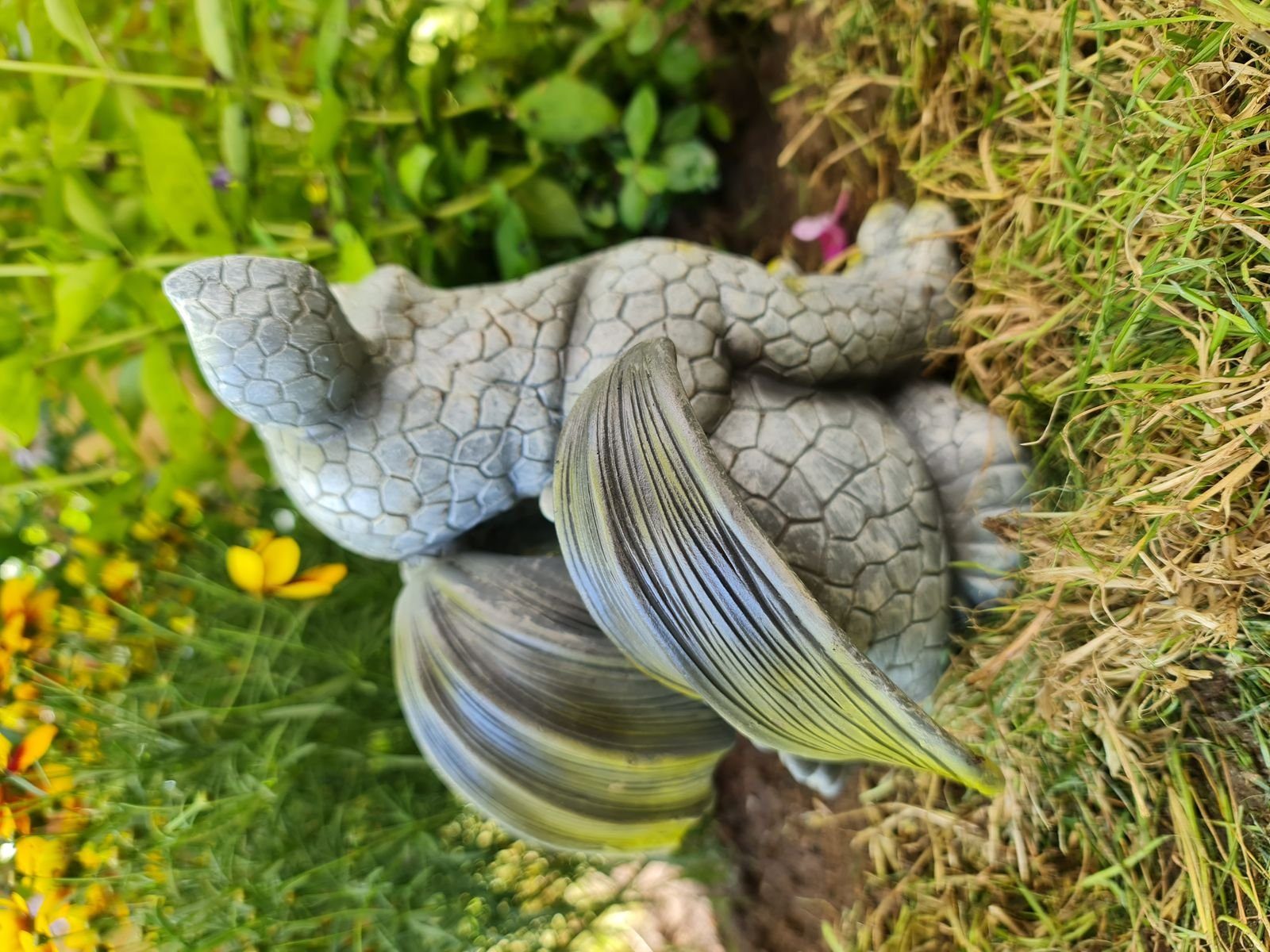 Kremers kratzt sich Schatzkiste Ohr am Drachenkind Gartenfigur