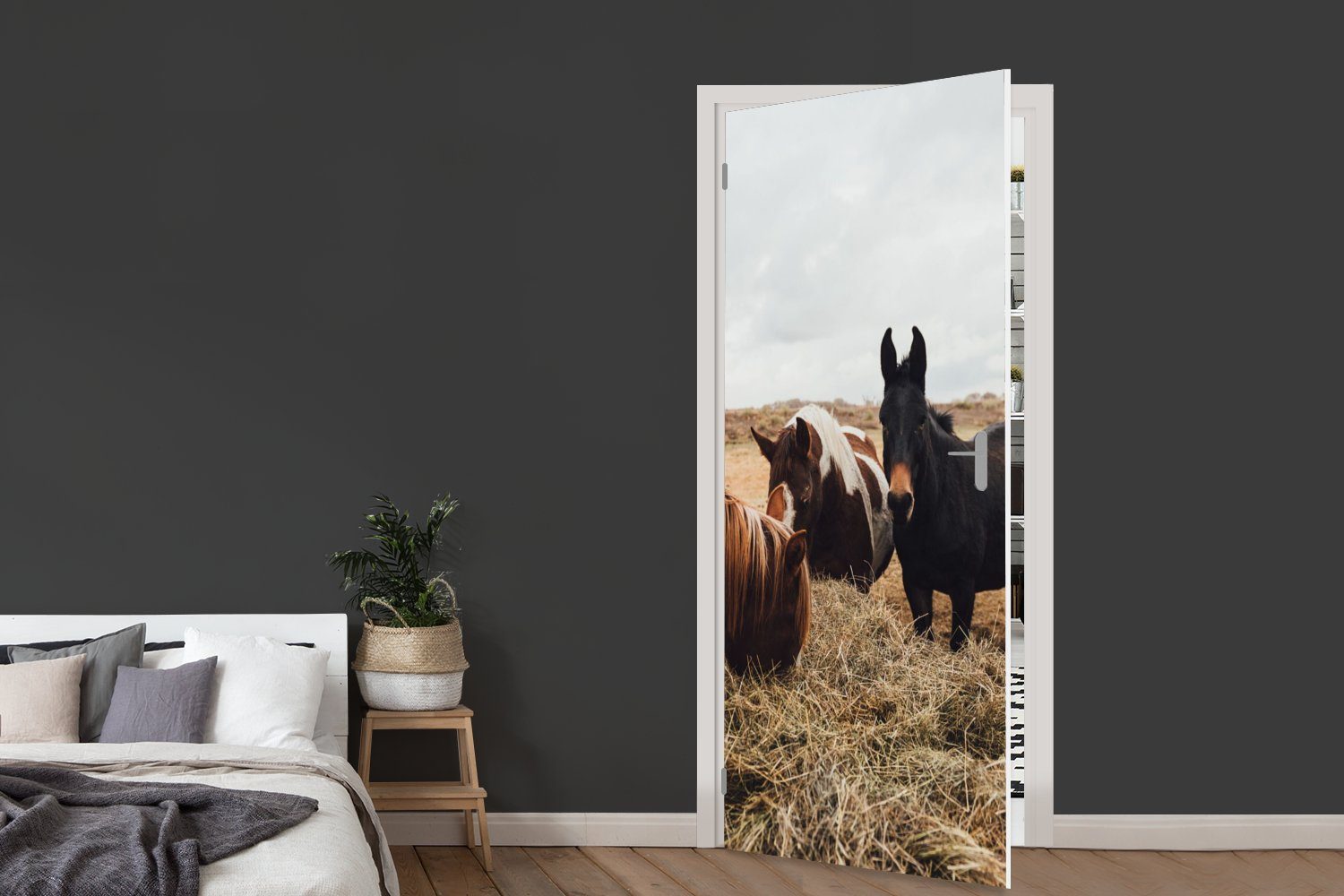 MuchoWow Türtapete Tiere - Tür, St), für bedruckt, 75x205 cm Pferd, Matt, (1 Türaufkleber, Fototapete