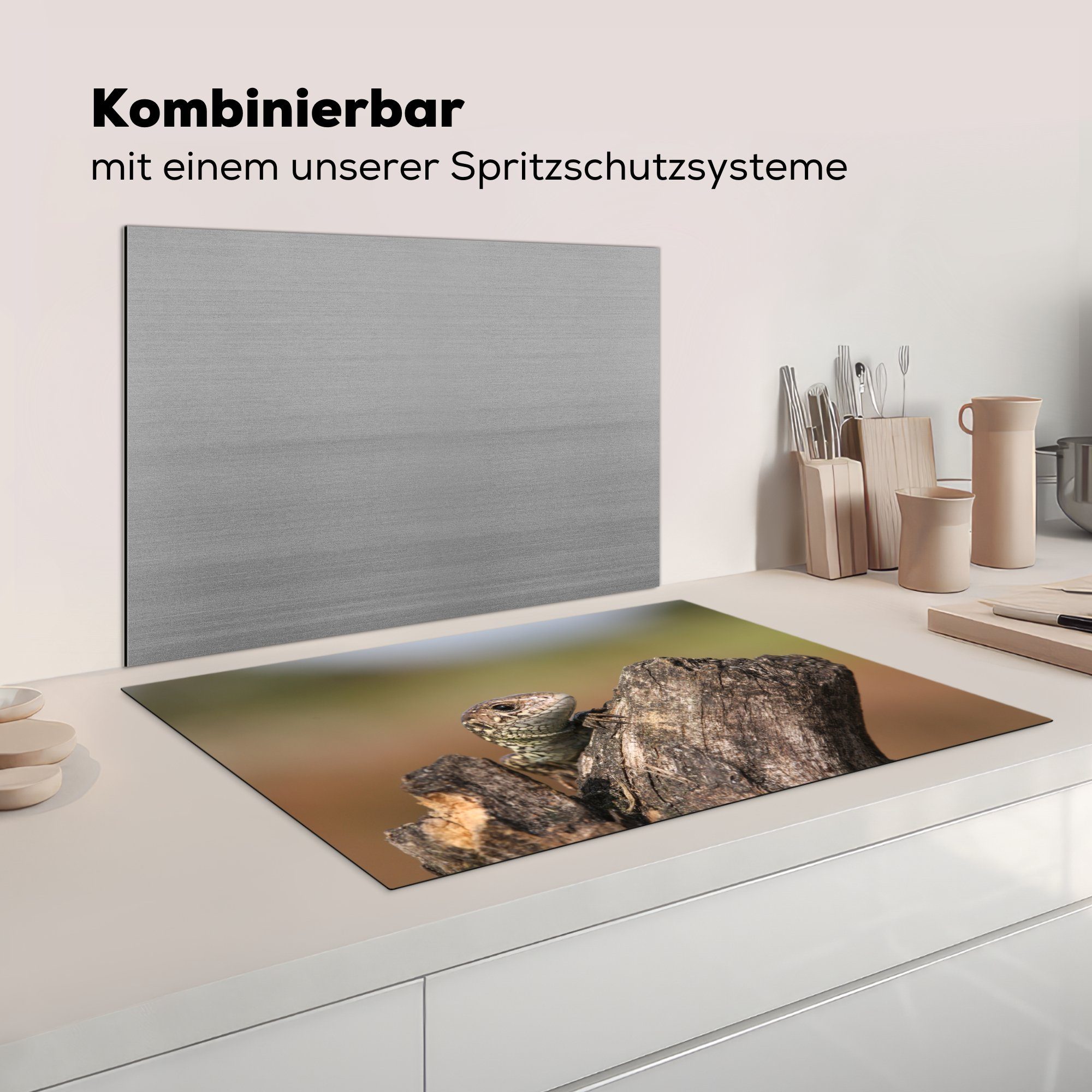 Schutz 81x52 Vinyl, für Herdblende-/Abdeckplatte MuchoWow cm, Eidechsenbaby, (1 Ceranfeldabdeckung tlg), Ein küche, die Induktionskochfeld