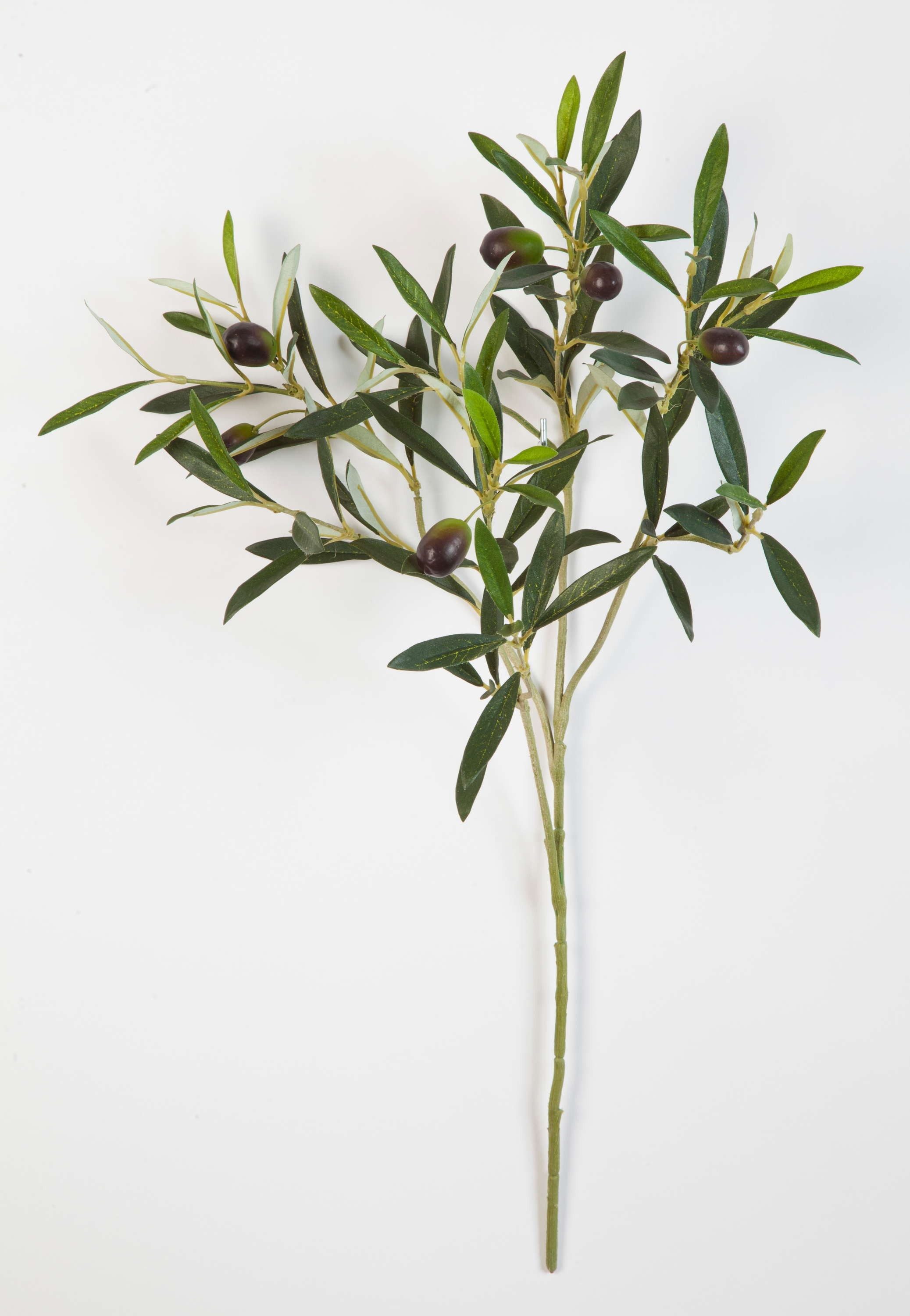 Kunstzweig Deko Olivenzweig, 105 Blätter, 6 Oliven, grün, 50cm Olivenbaum, artplants, Höhe 50.0 cm