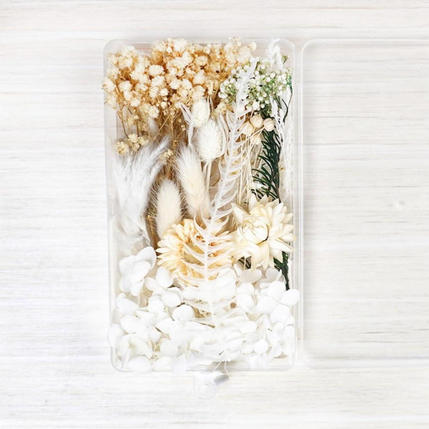 Trockenblume Trockenblumen DIY Weiss, Natur Deko, LuxusKollektion