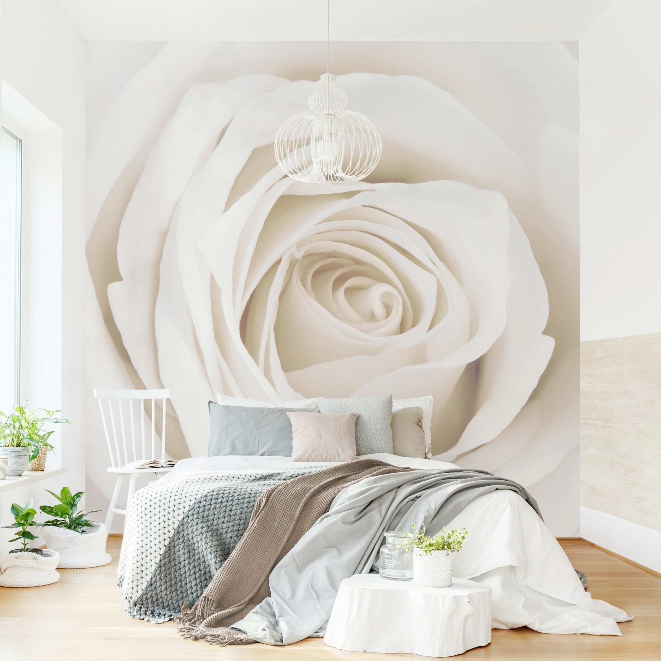Bilderdepot24 Fototapete Rosen Pretty White Rose Blumen Natur Pflanzen Wanddeko, Glatt, Matt, (Vliestapete inkl. Kleister oder selbstklebend), Wohnzimmer Schlafzimmer Küche Flur Motivtapete Vliestapete Wandtapete