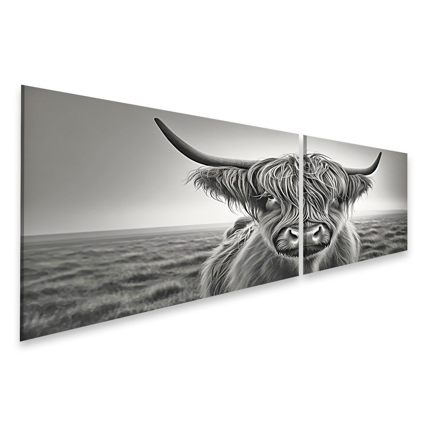 Leinwandbild Hochlandkuh mit zotteligem Haar