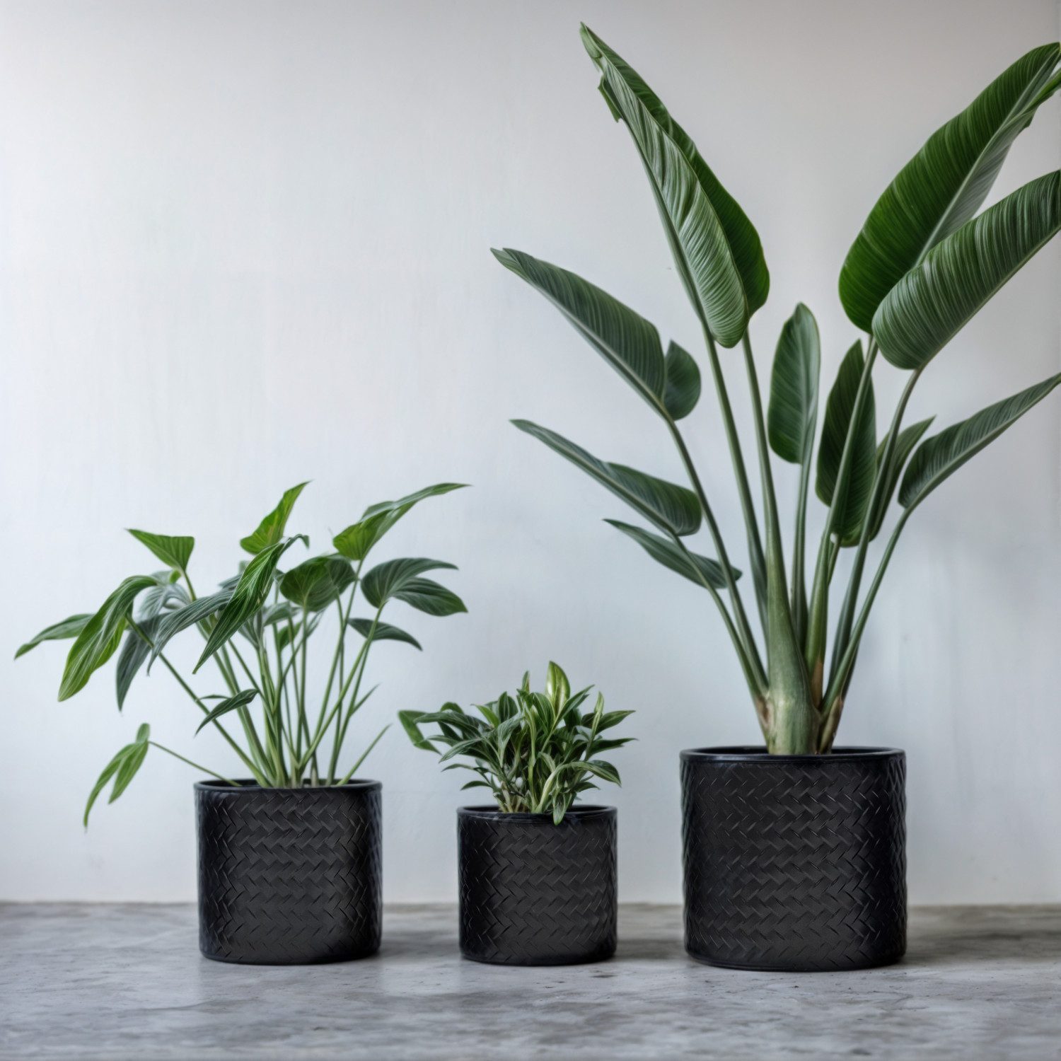 Meinposten Blumentopf Blumentopf Übertopf Pflanzenkübel 3er günstig online kaufen