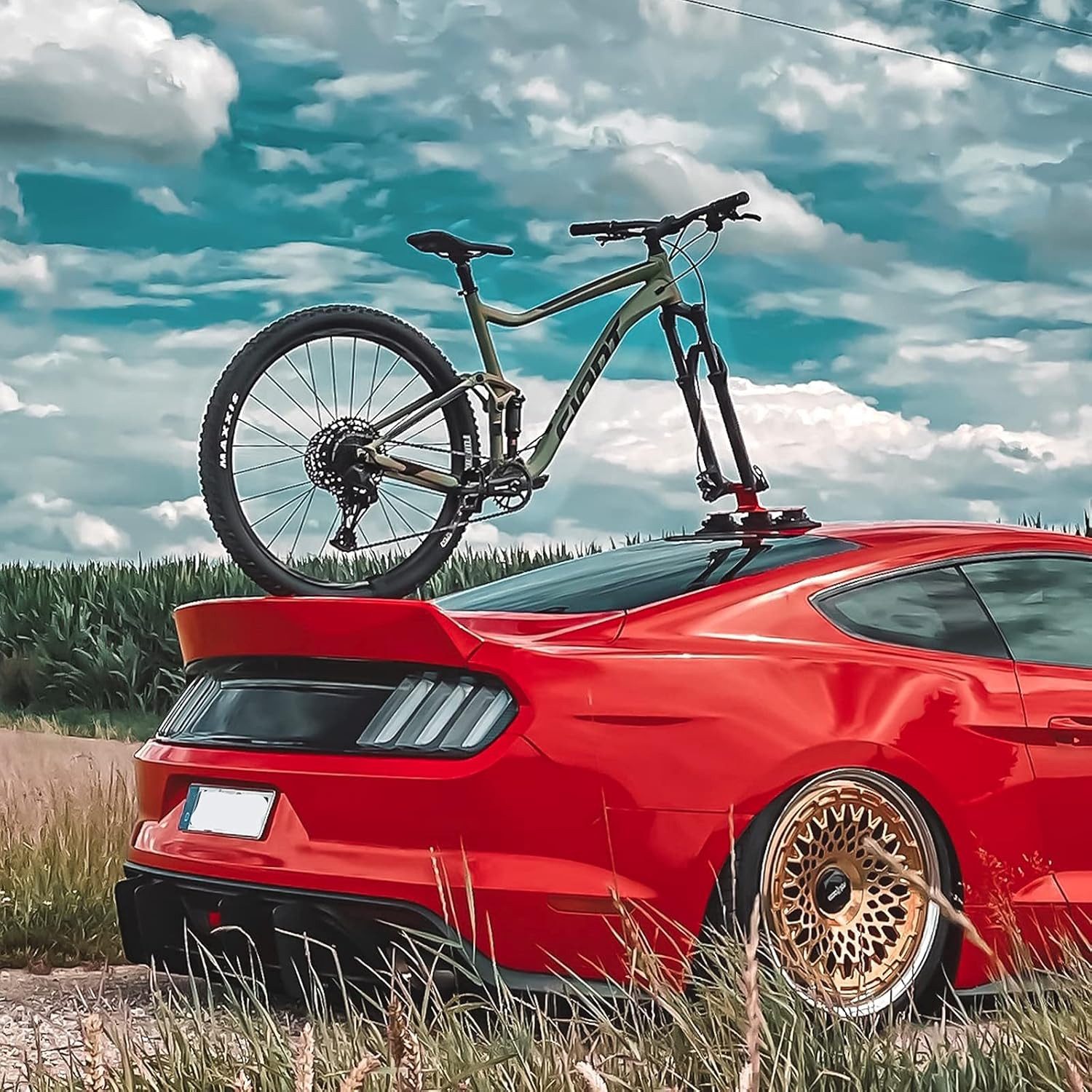 ROCKBROS Dachfahrradträger Saugnapf-Fahrraddachträger, Schnellmontage für 3 Fahrräder