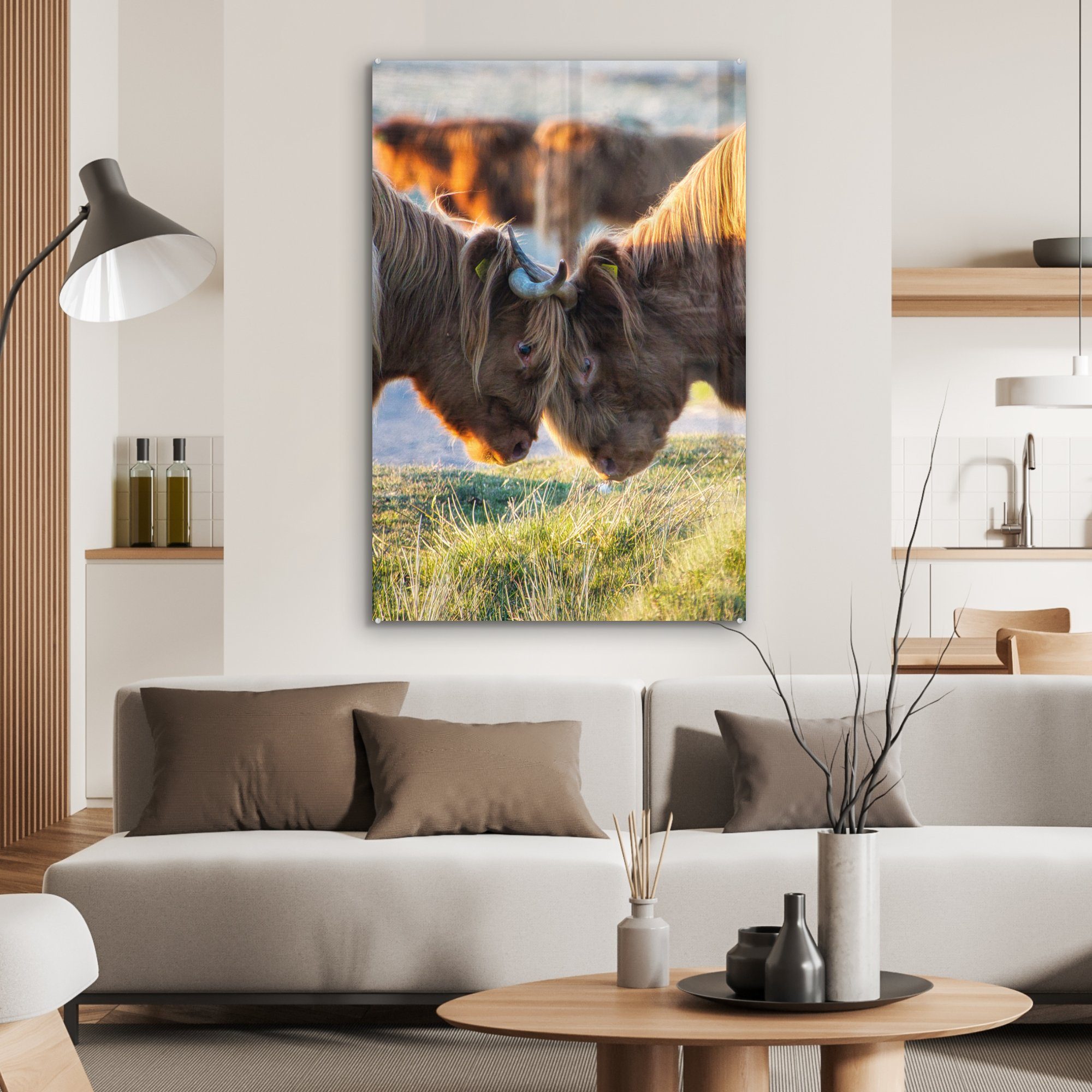 auf (1 Schottische St), bunt Sonne, Gemälde Dekoration - Tiere - wohnzimmer Acrylglasbild Highlander Glas, MuchoWow