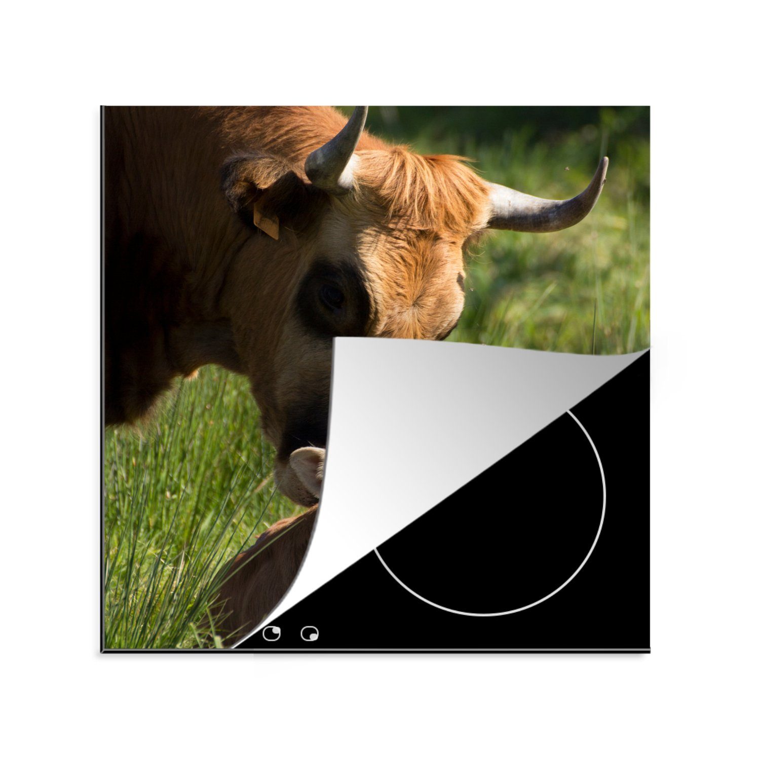MuchoWow Herdblende-/Abdeckplatte Kuh - Gras - Horn - Kalb, Vinyl, (1 tlg), 78x78 cm, Ceranfeldabdeckung, Arbeitsplatte für küche