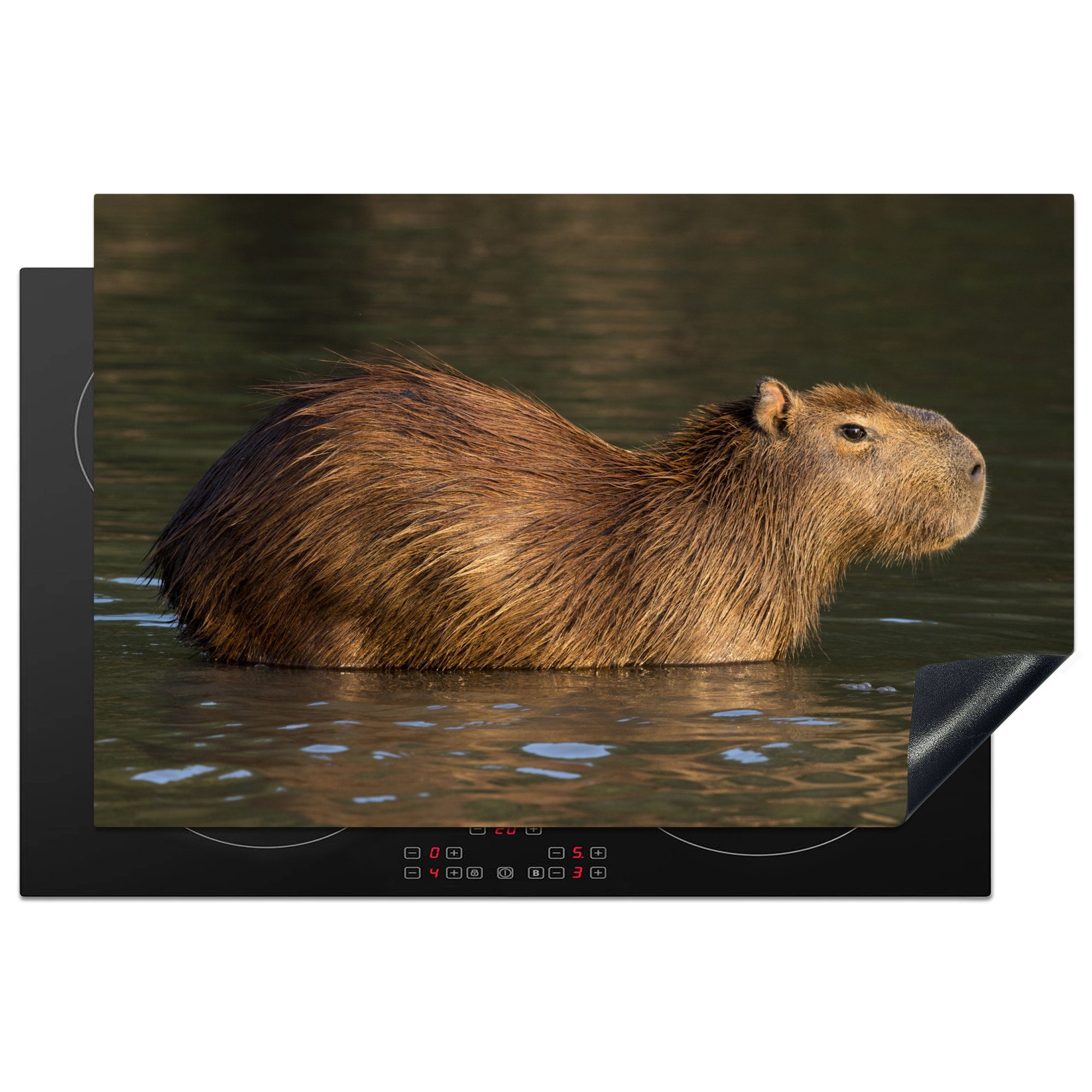 MuchoWow Herdblende-/Abdeckplatte Ein Capybara steht im Wasser, Vinyl, (1 tlg), 81x52 cm, Induktionskochfeld Schutz für die küche, Ceranfeldabdeckung