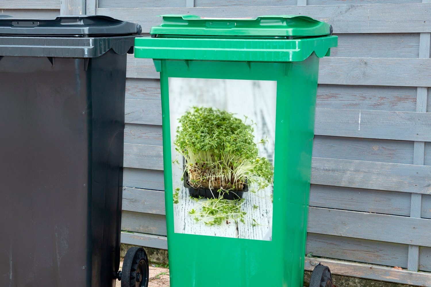 Container, MuchoWow St), Mülltonne, Mülleimer-aufkleber, grüne Frische Kresse (1 auf Hintergrund Abfalbehälter Sticker, weißem Wandsticker