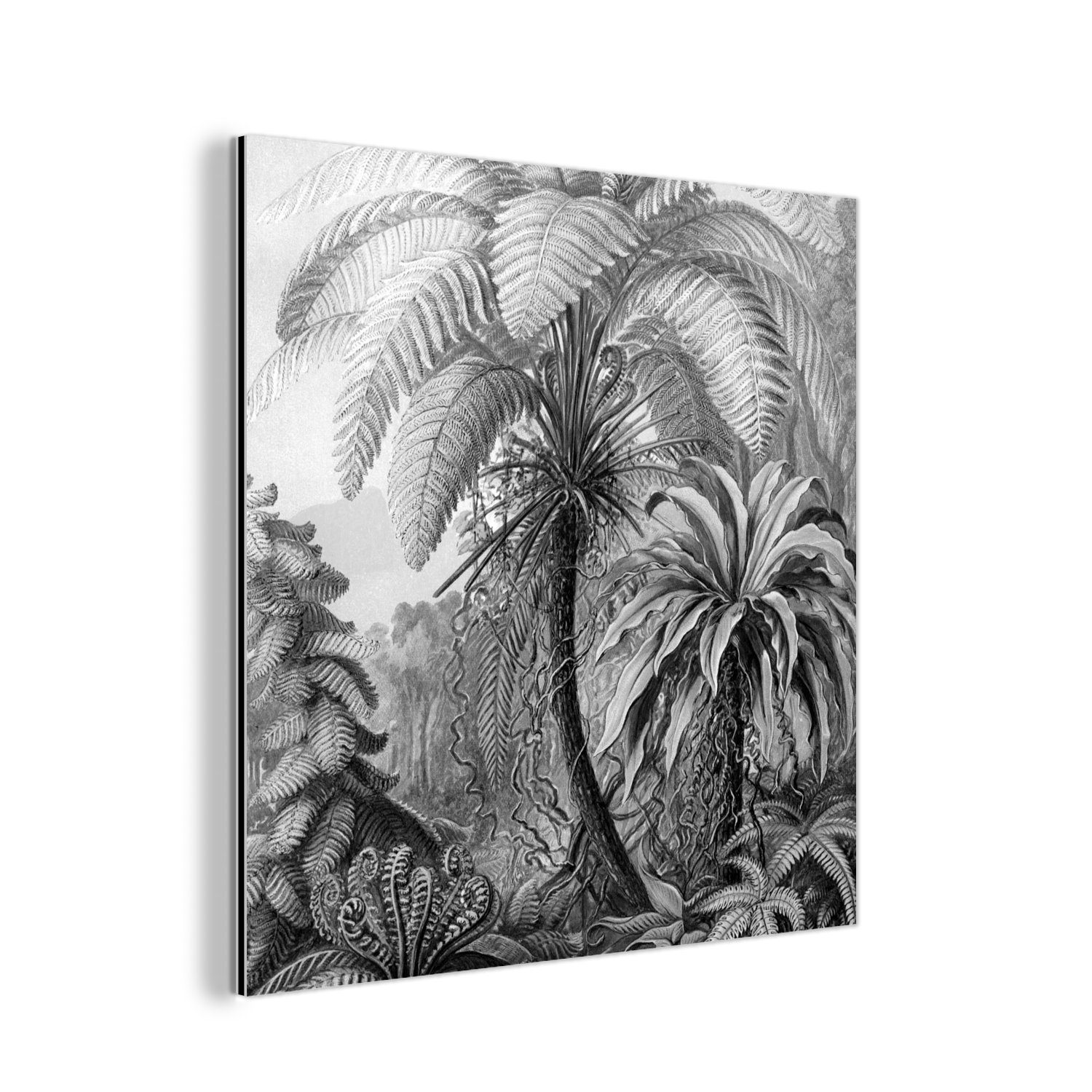 MuchoWow Metallbild Pflanzen - Schwarz und weiß - Design - Illustration - Botanisch, (1 St), Alu-Dibond-Druck, Gemälde aus Metall, Aluminium deko