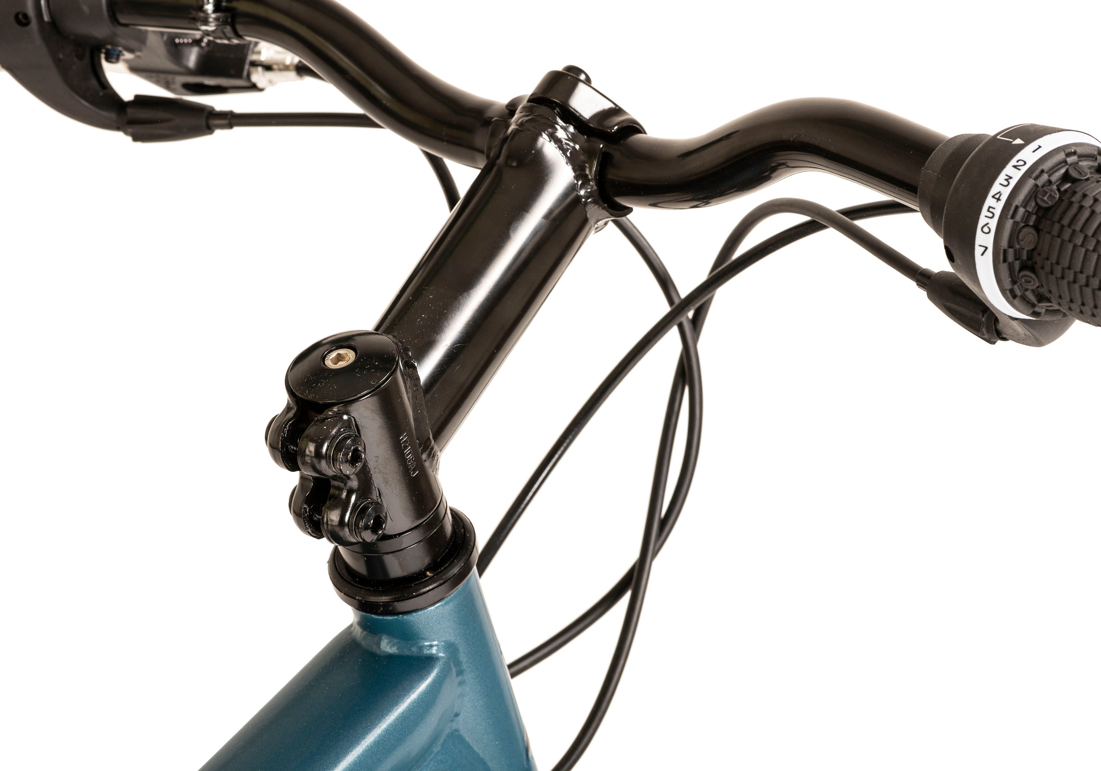 WYLD Mountainbike Heist, 21 Gang, Kettenschaltung