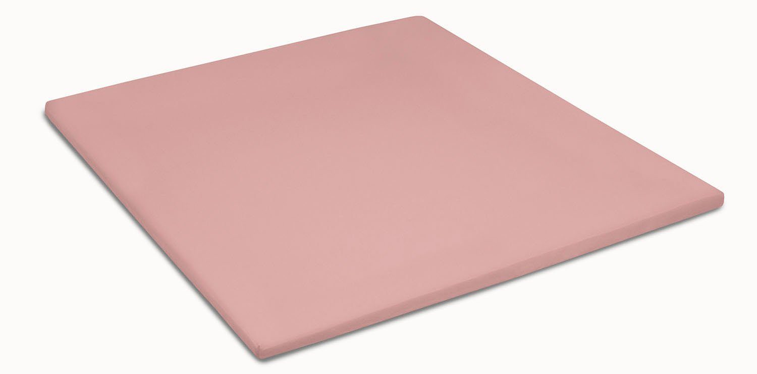 Cinderella Spannbettlaken Jersey, Jersey, (1 Stück), günstig online kaufen