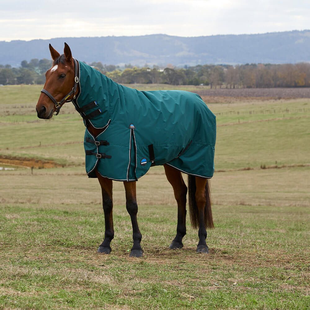 Pferde-Thermodecke Weatherbeeta Comfitec Classic Turnout Combo 360g