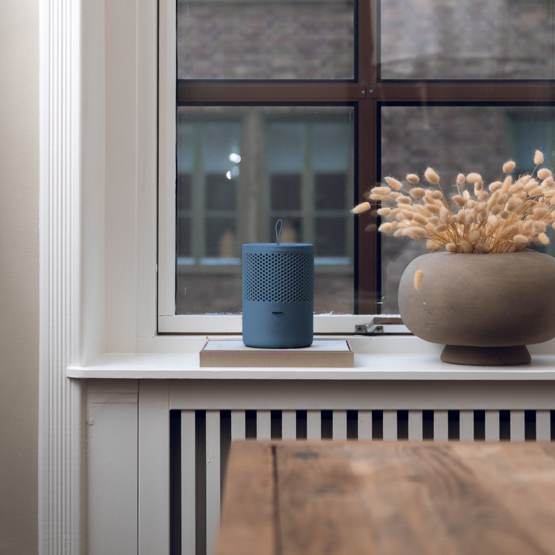 Absodry duo family Granulat-Luftentfeuchter Absodry Duo günstig online kaufen