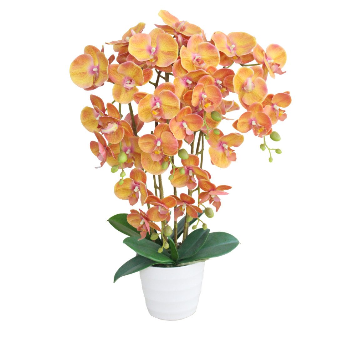 Kunstblume SmagragdLine künstliche Orchidee im Topf - verschiedene Ausführung, Lacers, realistische Haptik, umweltfreundlich, naturgetreu, lebendige Farben