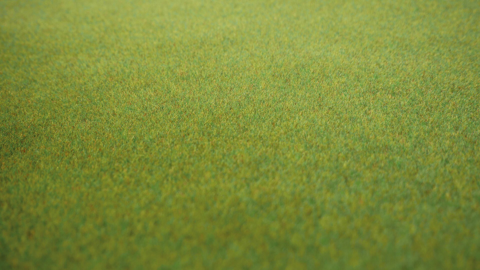 NOCH Modelleisenbahn-Geländematte Grasmatte „Frühlingswiese“, mit Modellbau Gras, 12, Wiesenmatte